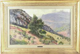 VILA CINCA, JOAN