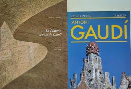 DOS LIBROS SOBRE GAUDÍ.