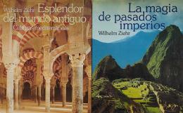 DOS LIBROS SOBRE HISTORIA ANTIGUA.