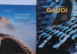 DOS LIBROS SOBRE GAUDÍ.