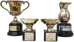 LOTE DE TROFEOS EN PLATA