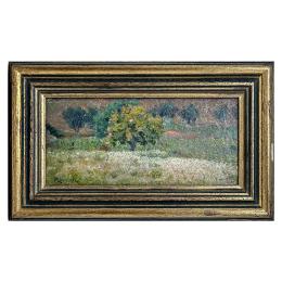 RAURICH, NICOLAU