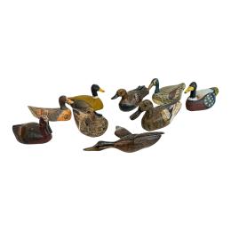 COLECCIÓN DE NUEVE PATOS DE RECLAMO