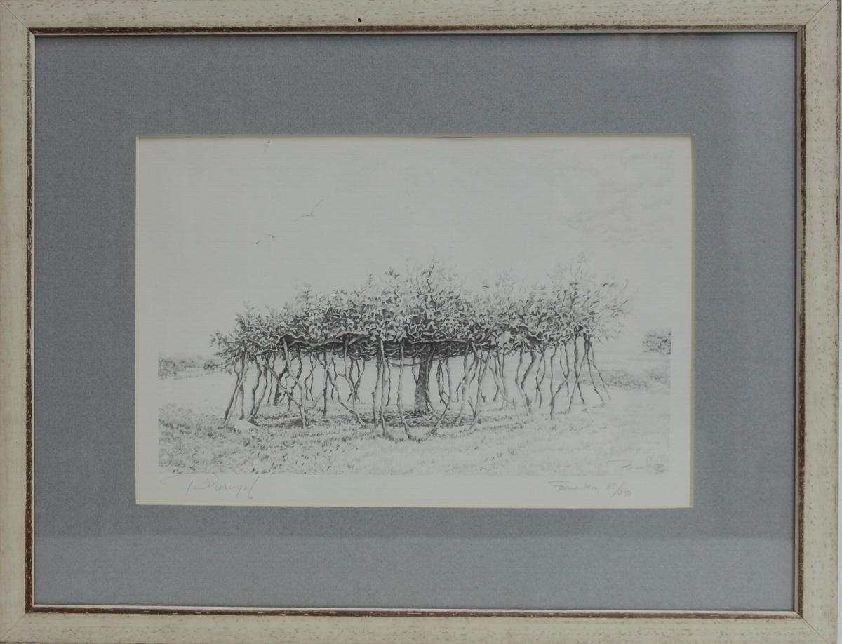 FIRMADO ILEGIBLE