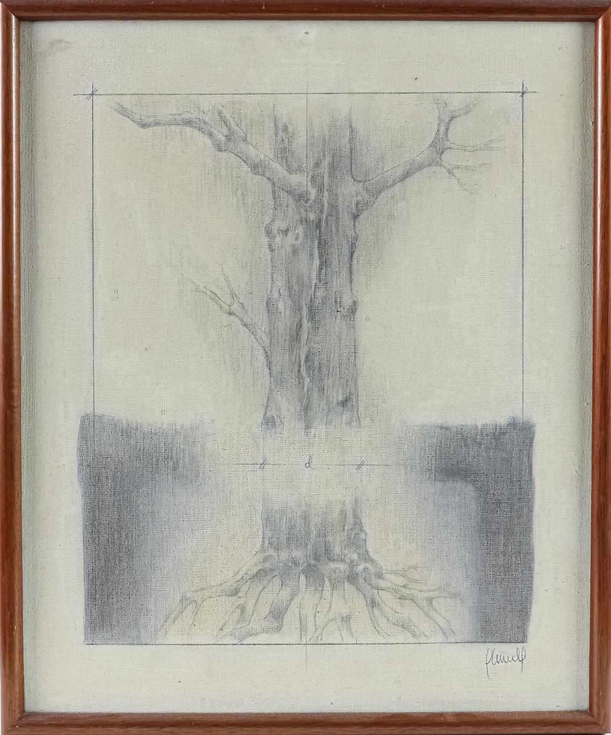 PLANELL, CARLES