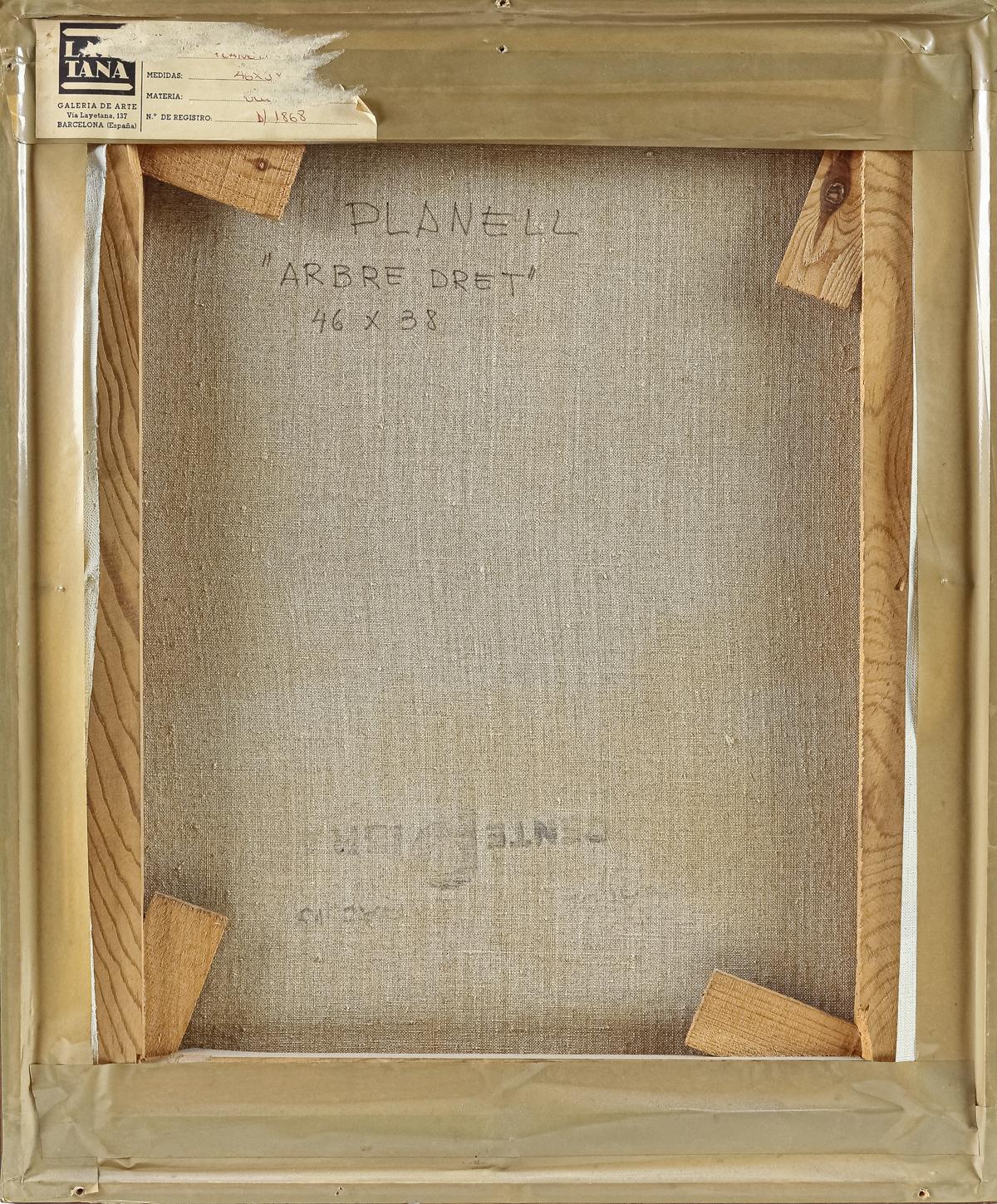 PLANELL, CARLES