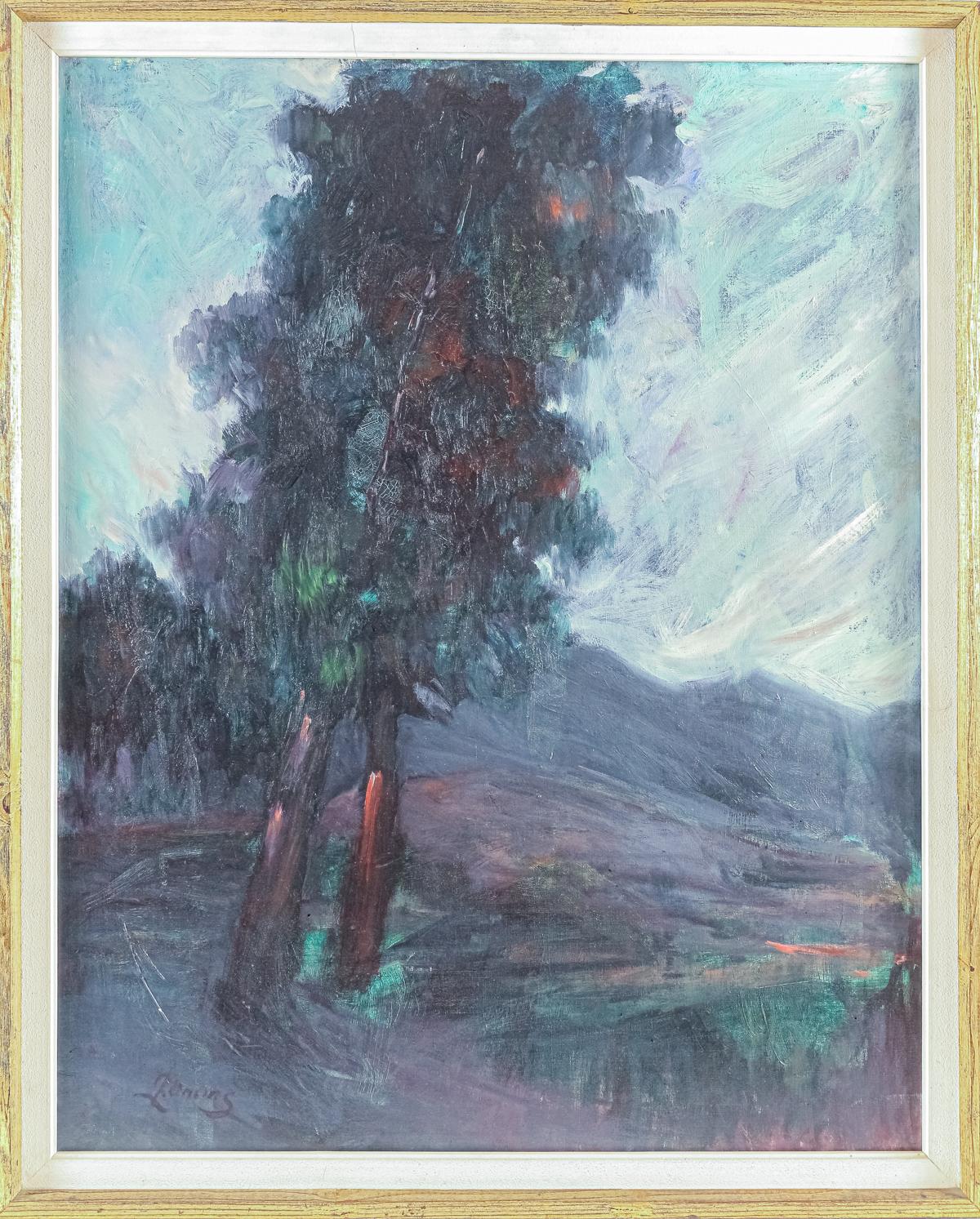 ONCINS ARIÑÓ, LLUIS