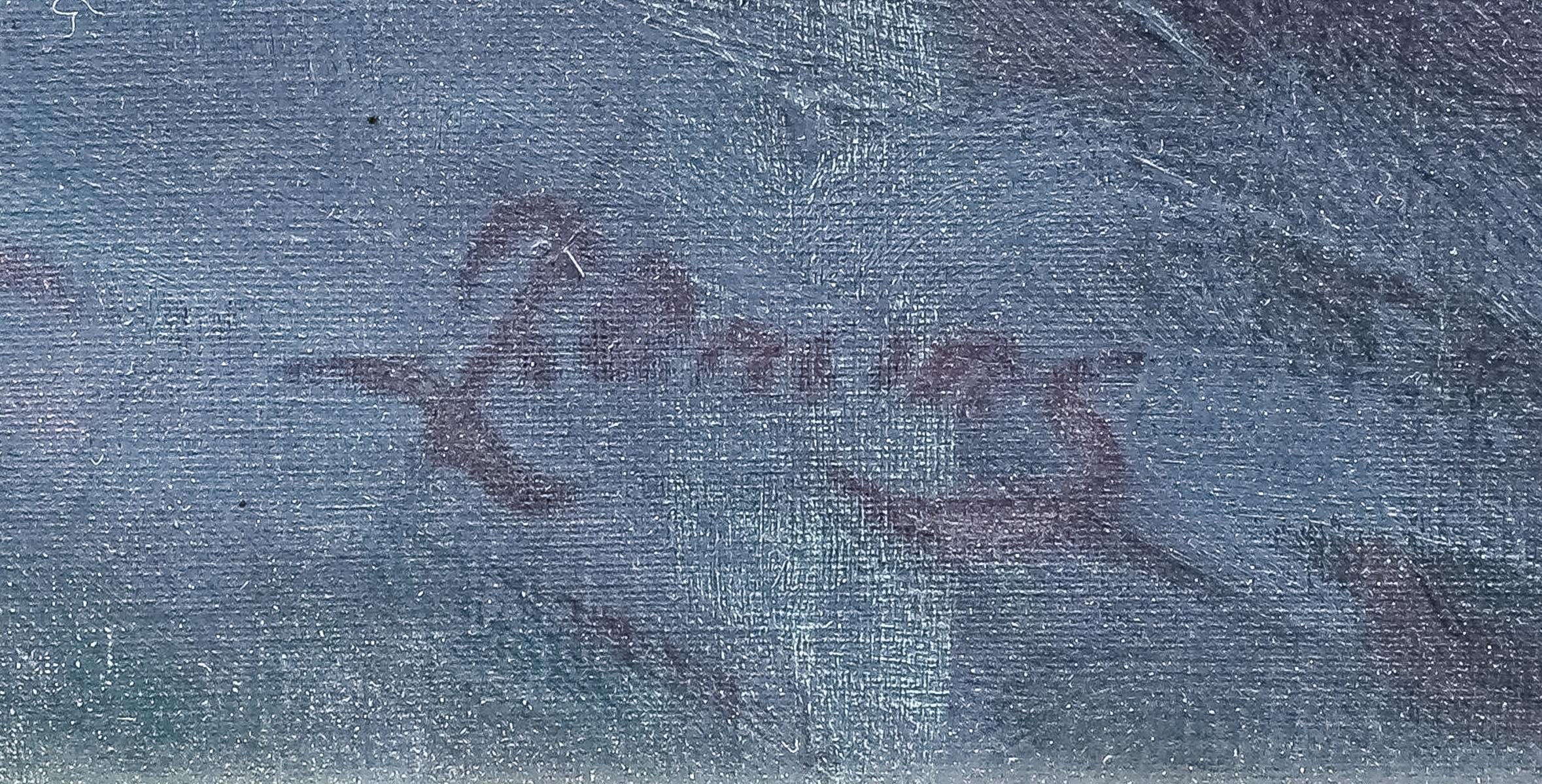 ONCINS ARIÑÓ, LLUIS