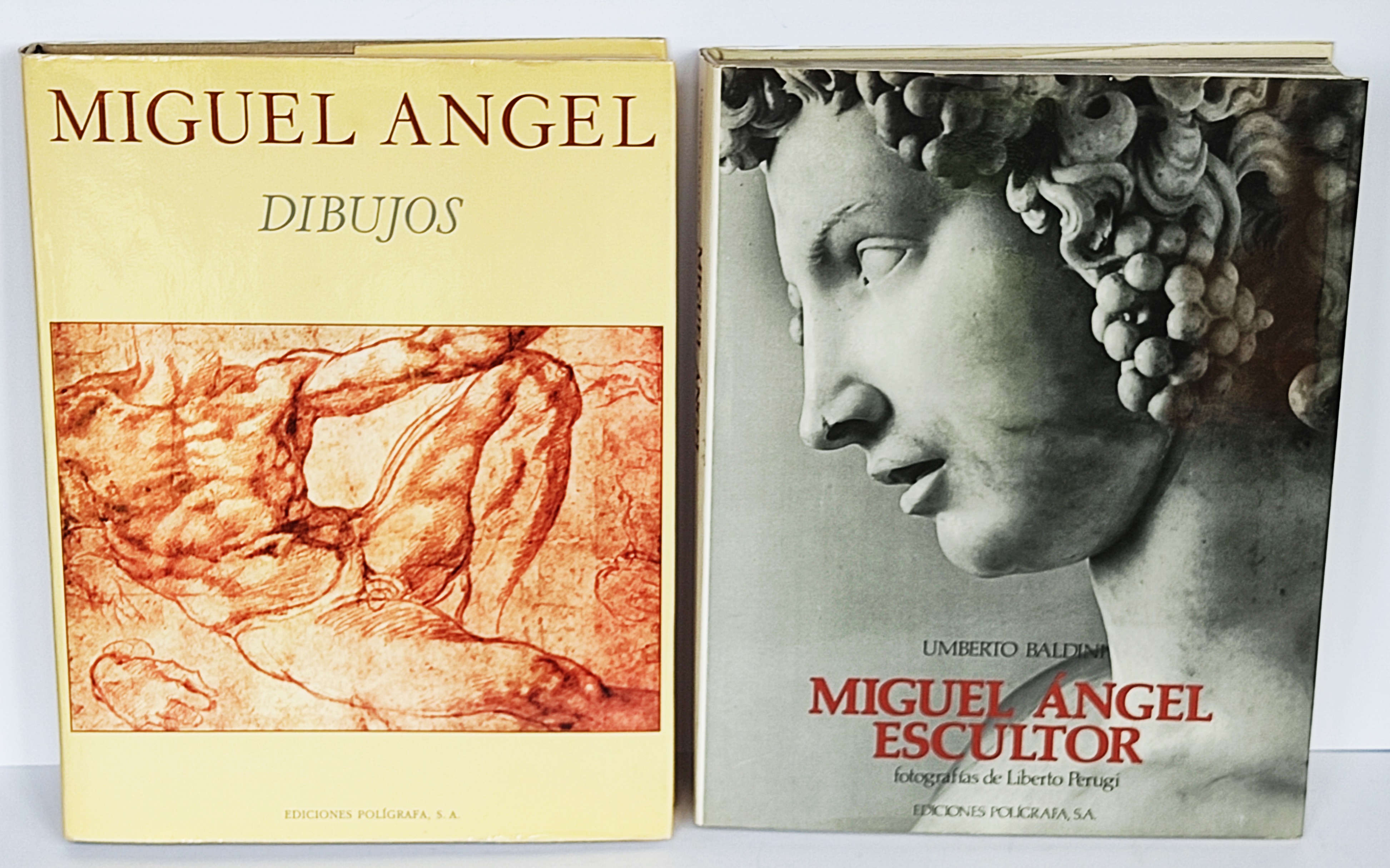 DOS LIBROS SOBRE MIGUEL ANGEL