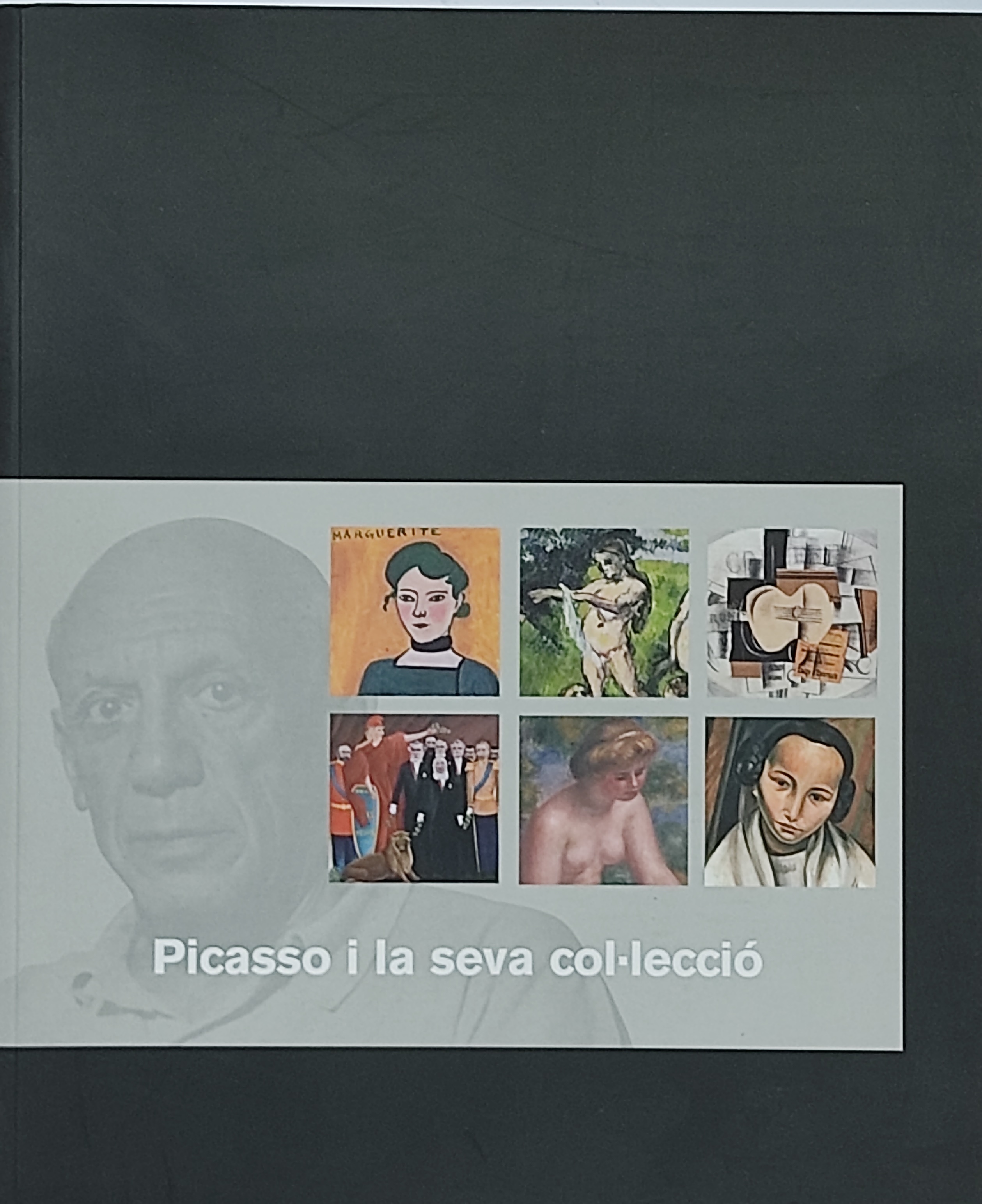 PICASSO I LA SEVA COL.LECCIÓ