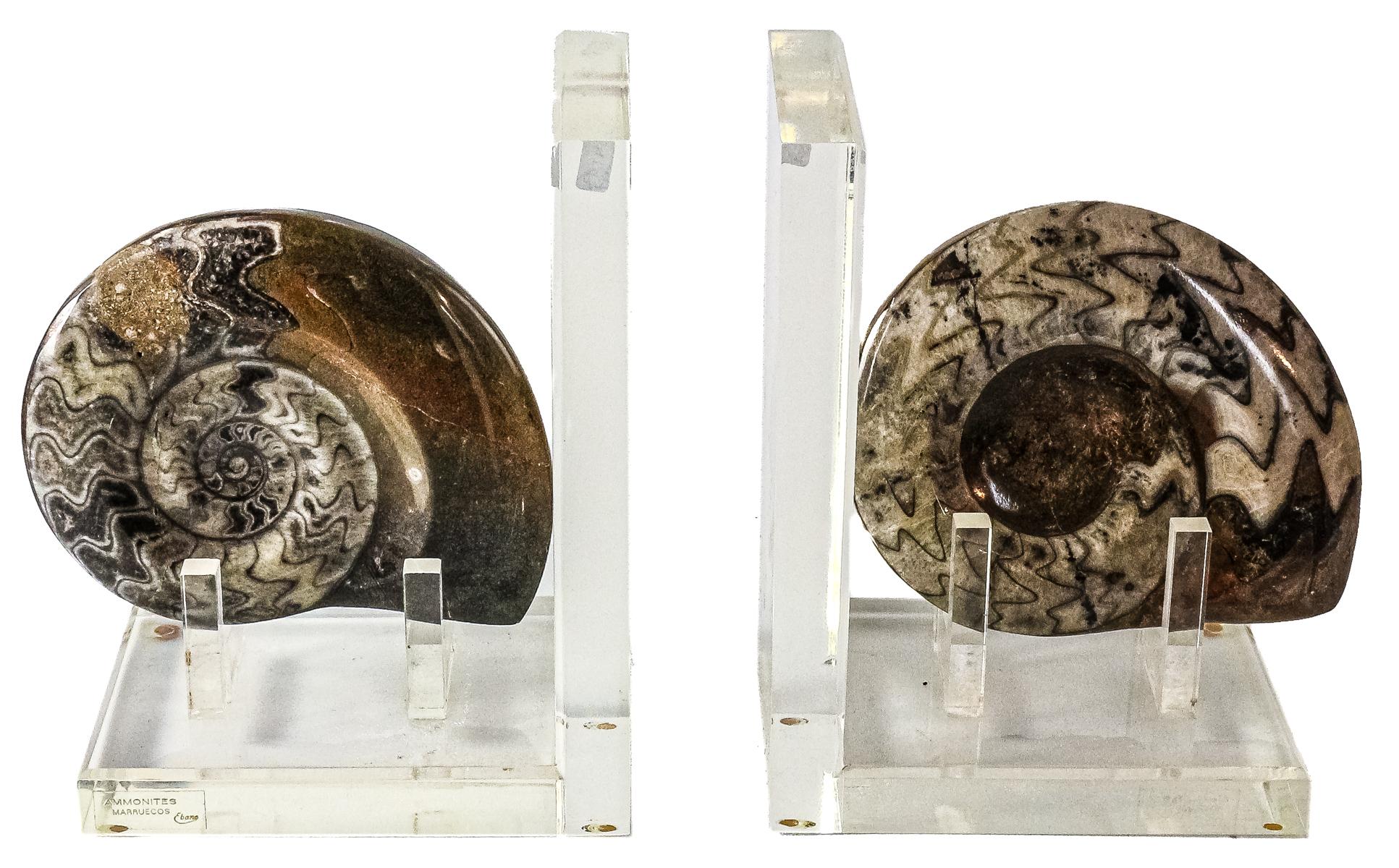 PAREJA DE APOYA LIBROS "NAUTILUS"