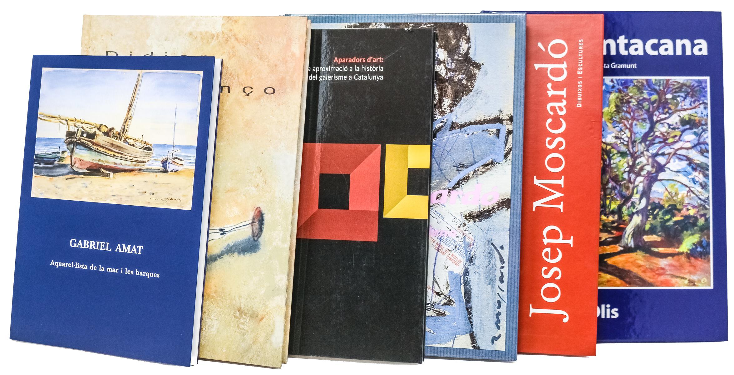 LOTE DE SEIS LIBROS MONOGRÁFICOS