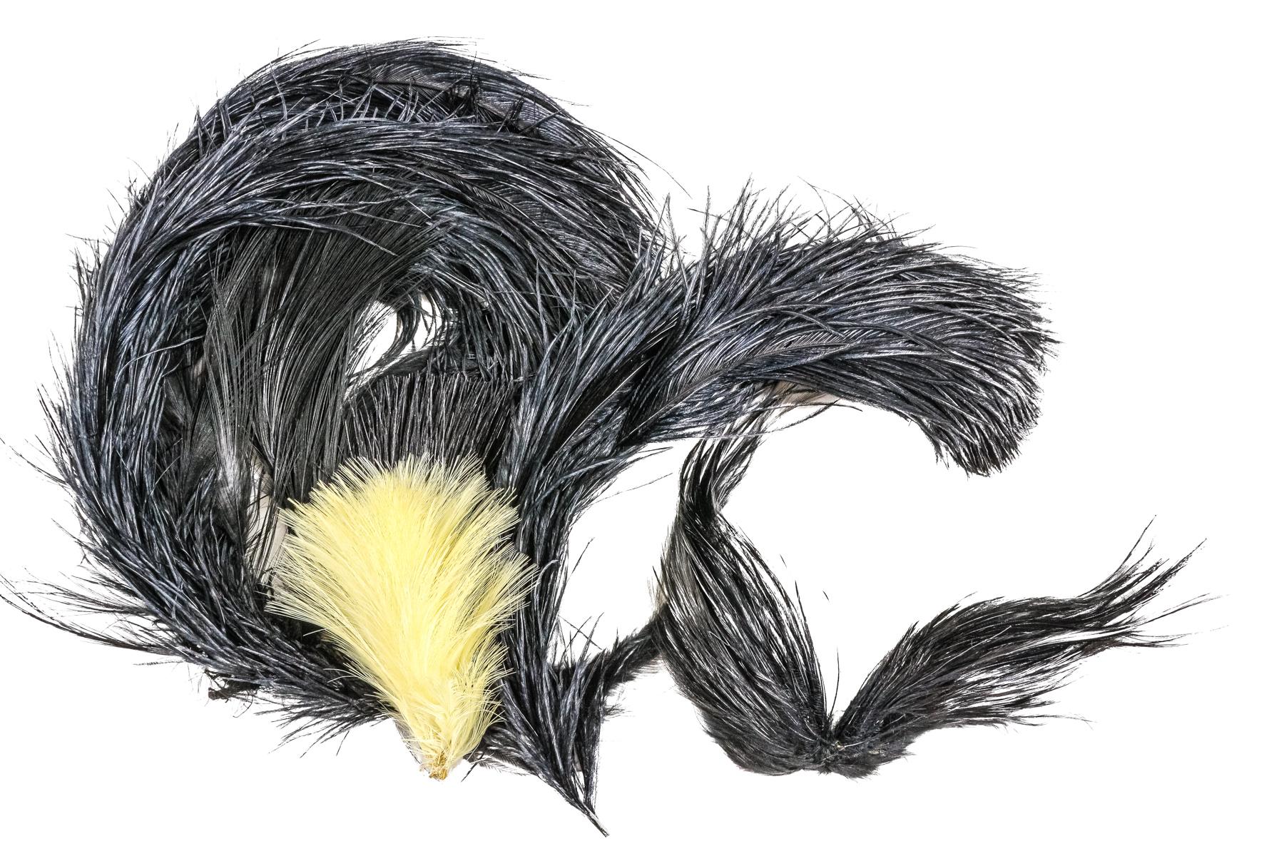 LOTE DE PLUMAS PARA TOCADO DEL PRIMER TERCIO S.XX