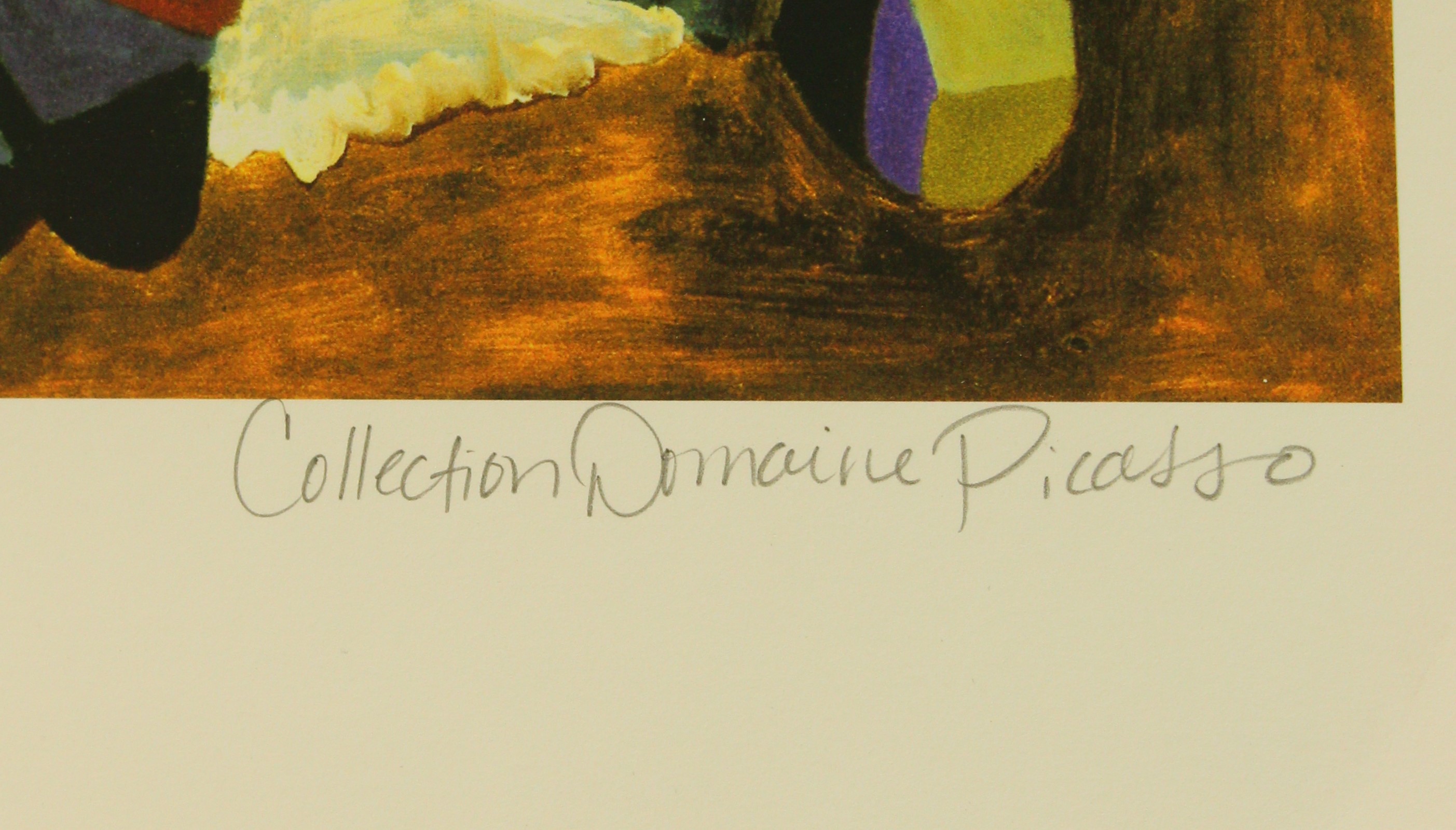 COLECCION DOMAINE PICASSO