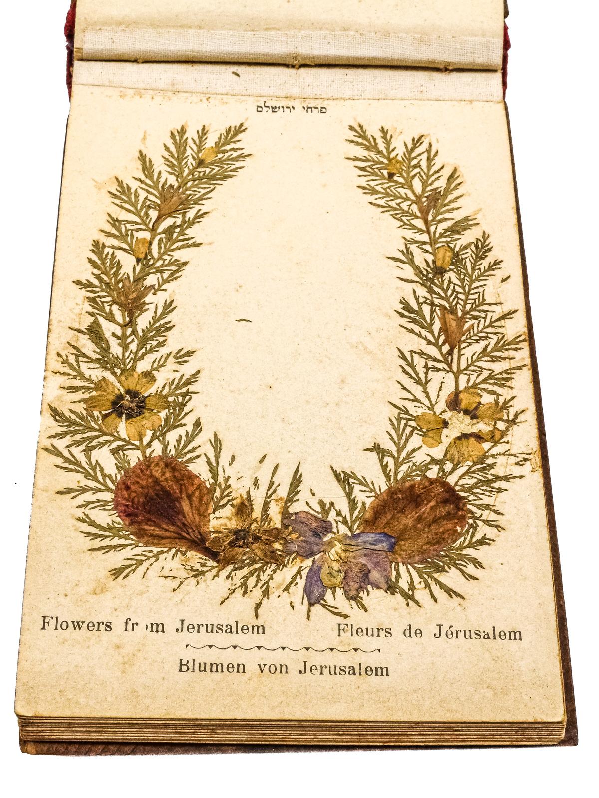 "FLORES DE TIERRA SANTA. JERUSALEM"