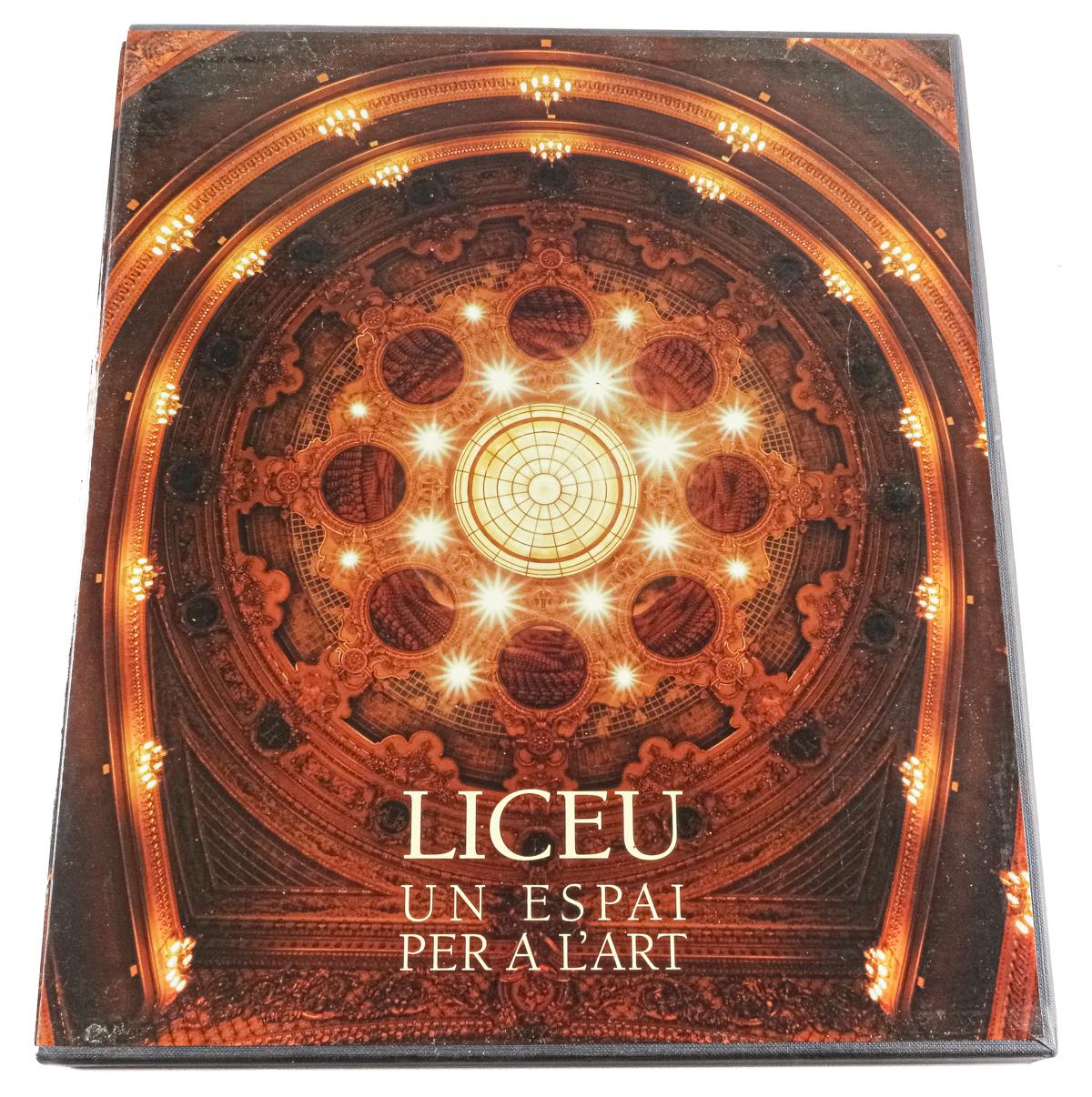 "LICEU UN ESPAI PER A L&#39;ART"