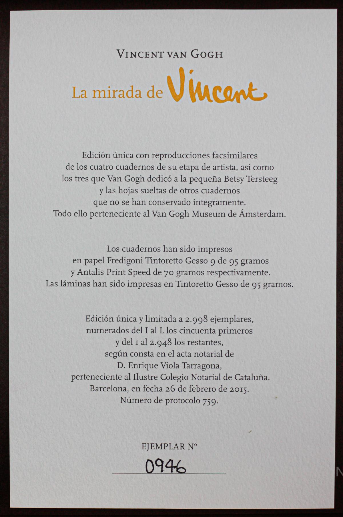 "LA MIRADA DE VINCENT"