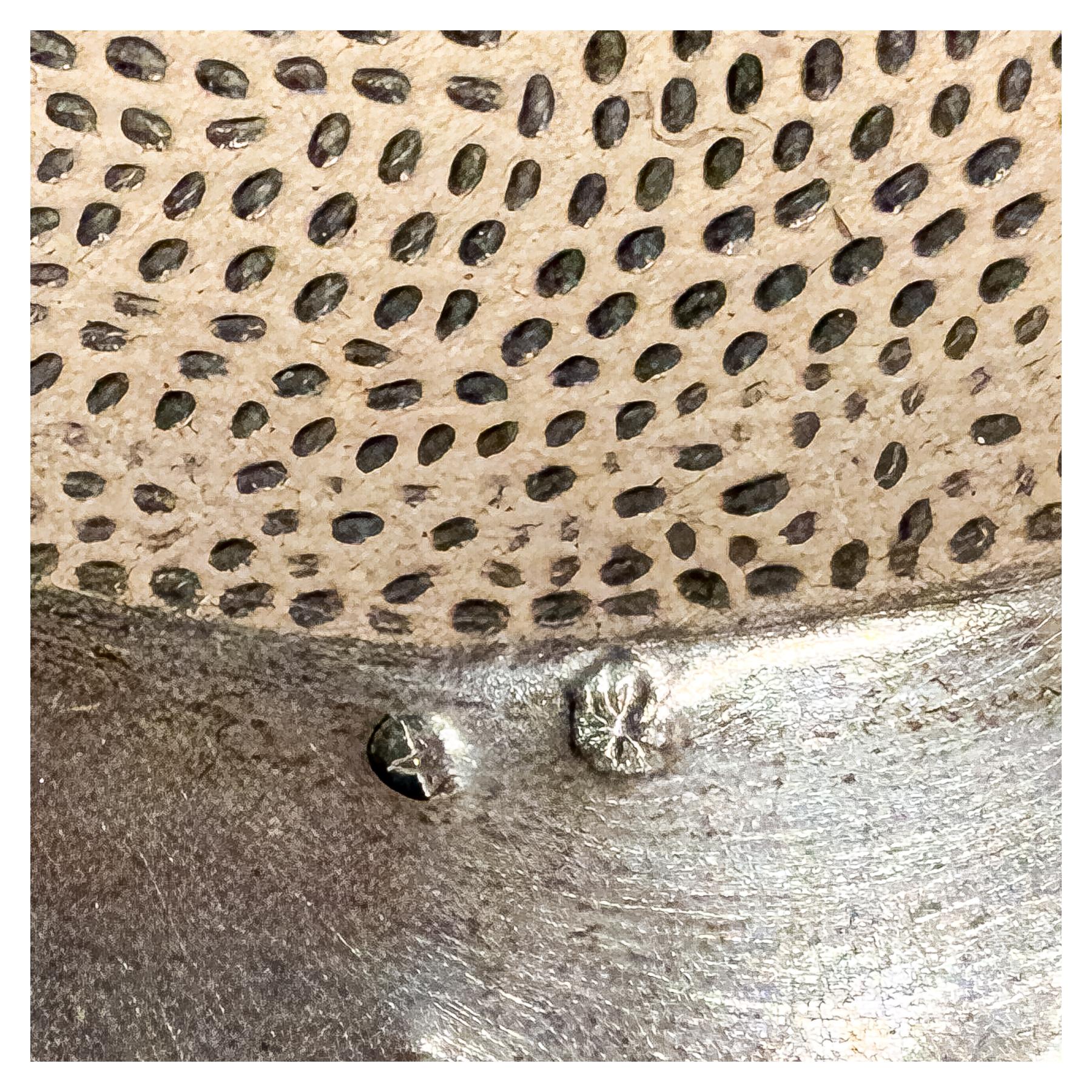 CONJUNTO DE PIEZAS EN PLATA 