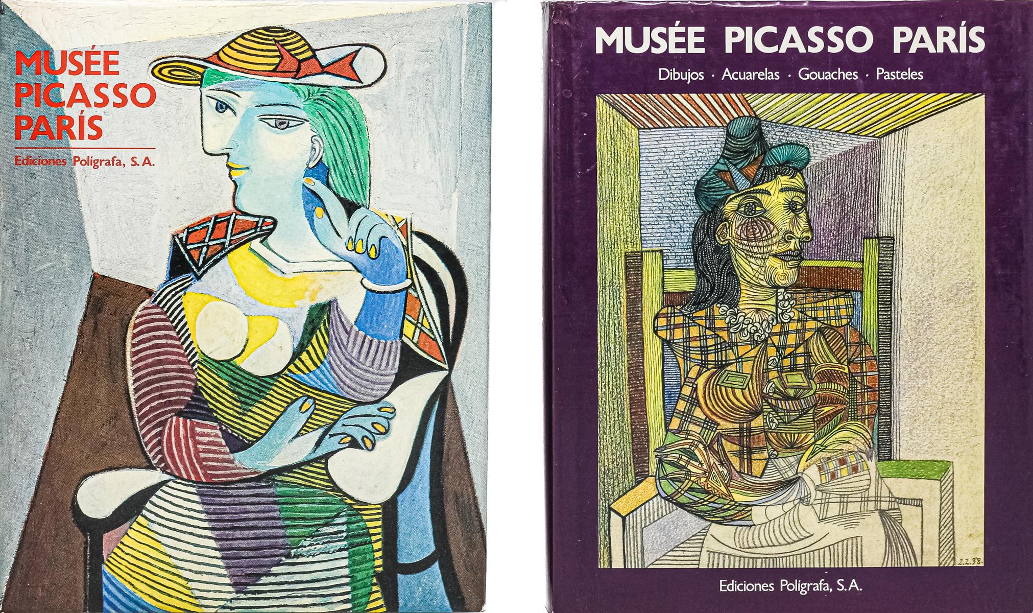 DOS LIBROS SOBRE PICASSO