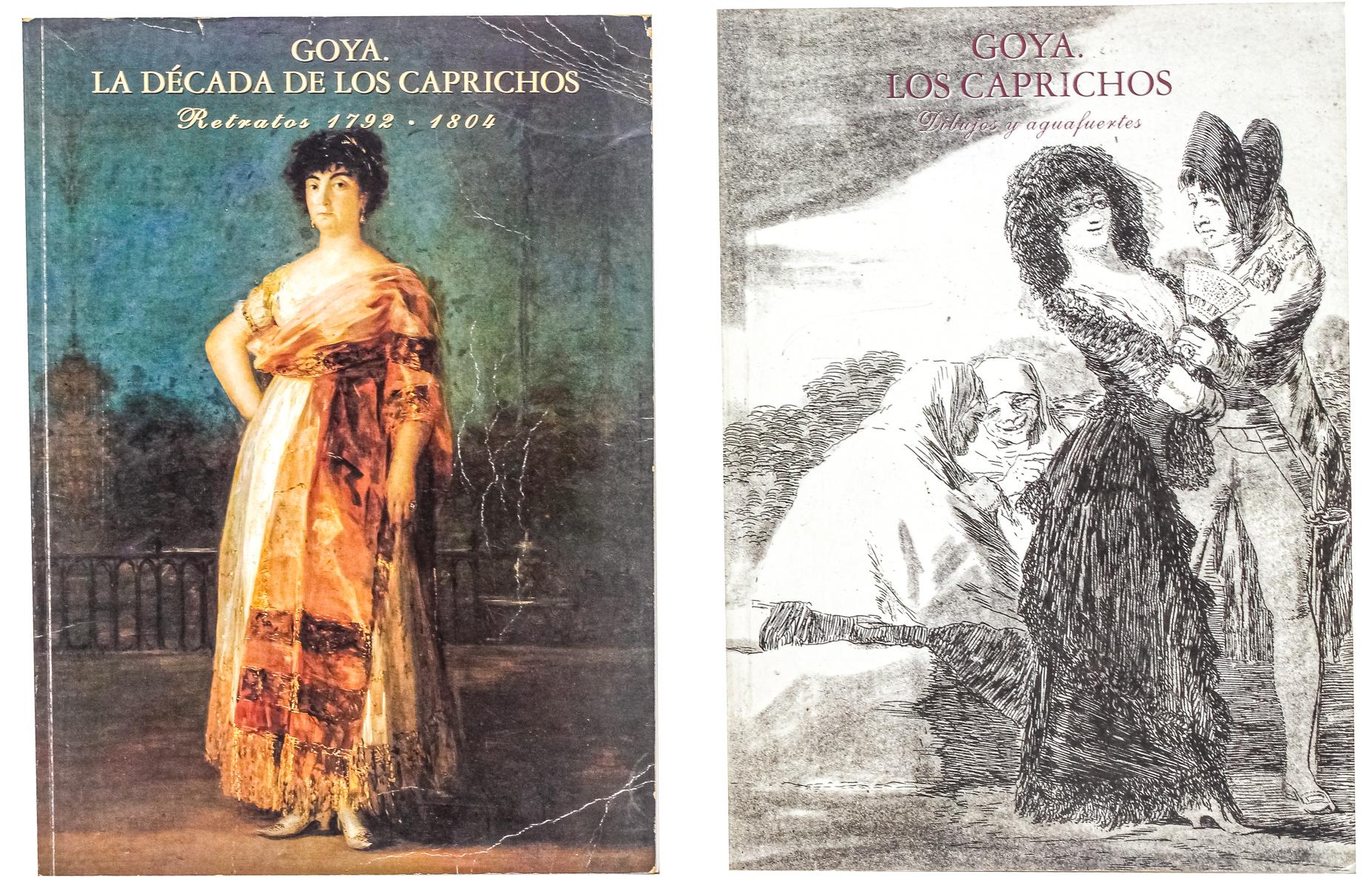 DOS LIBROS DE GOYA