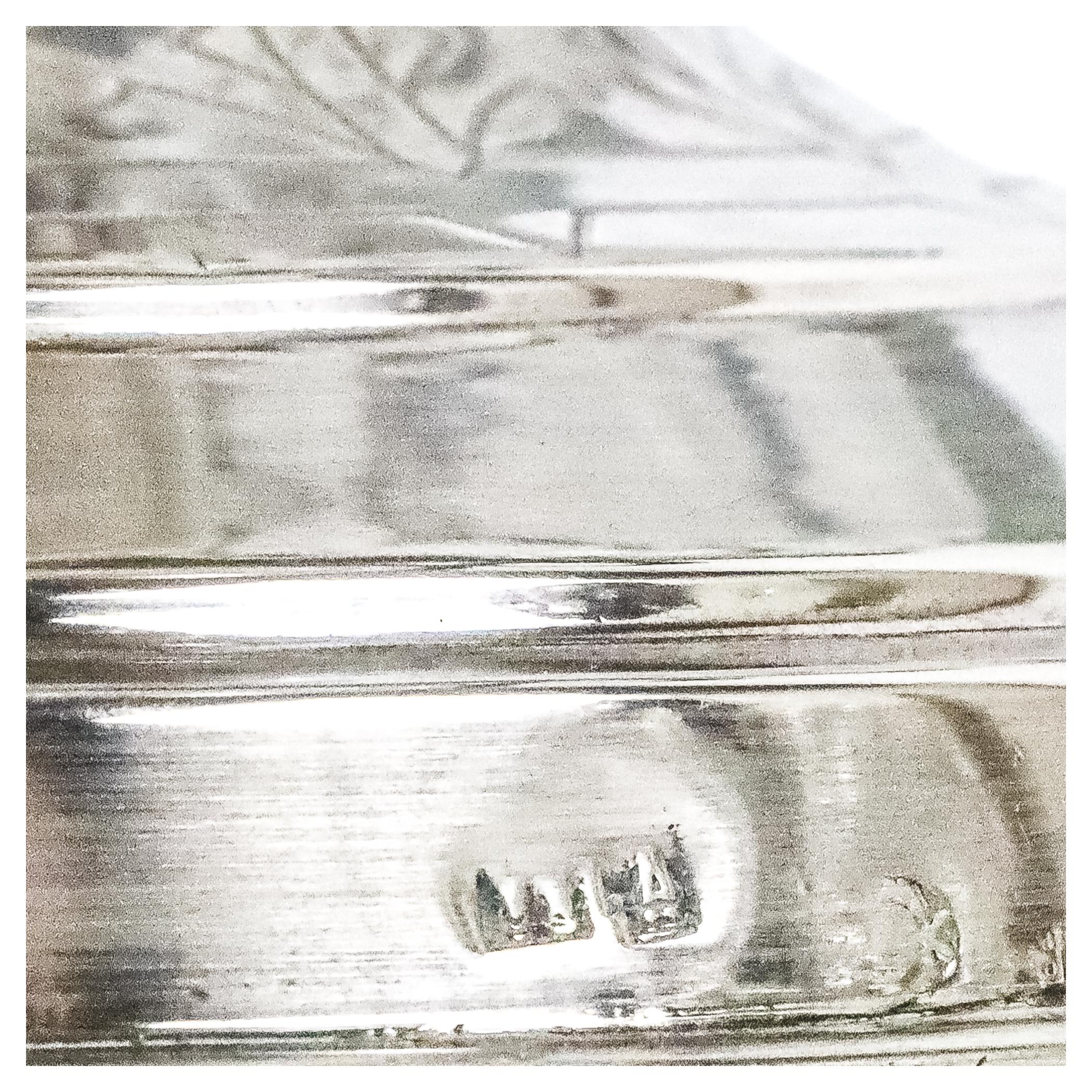 SERVICIO ESPECIERO DE FINALES DEL S.XIX