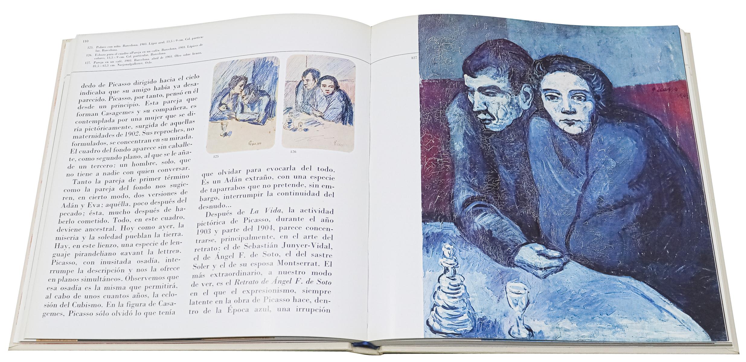 DOS LIBROS SOBRE PICASSO