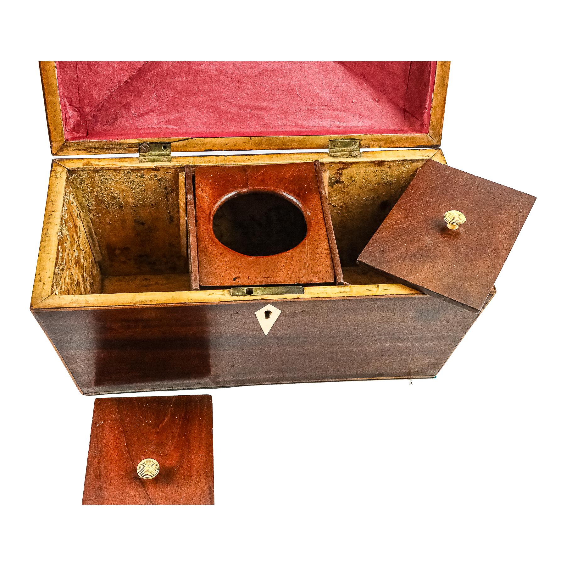 CAJA DE TÉ VICTORIANA DEL SEGUNDO TERCIO DEL S.XIX