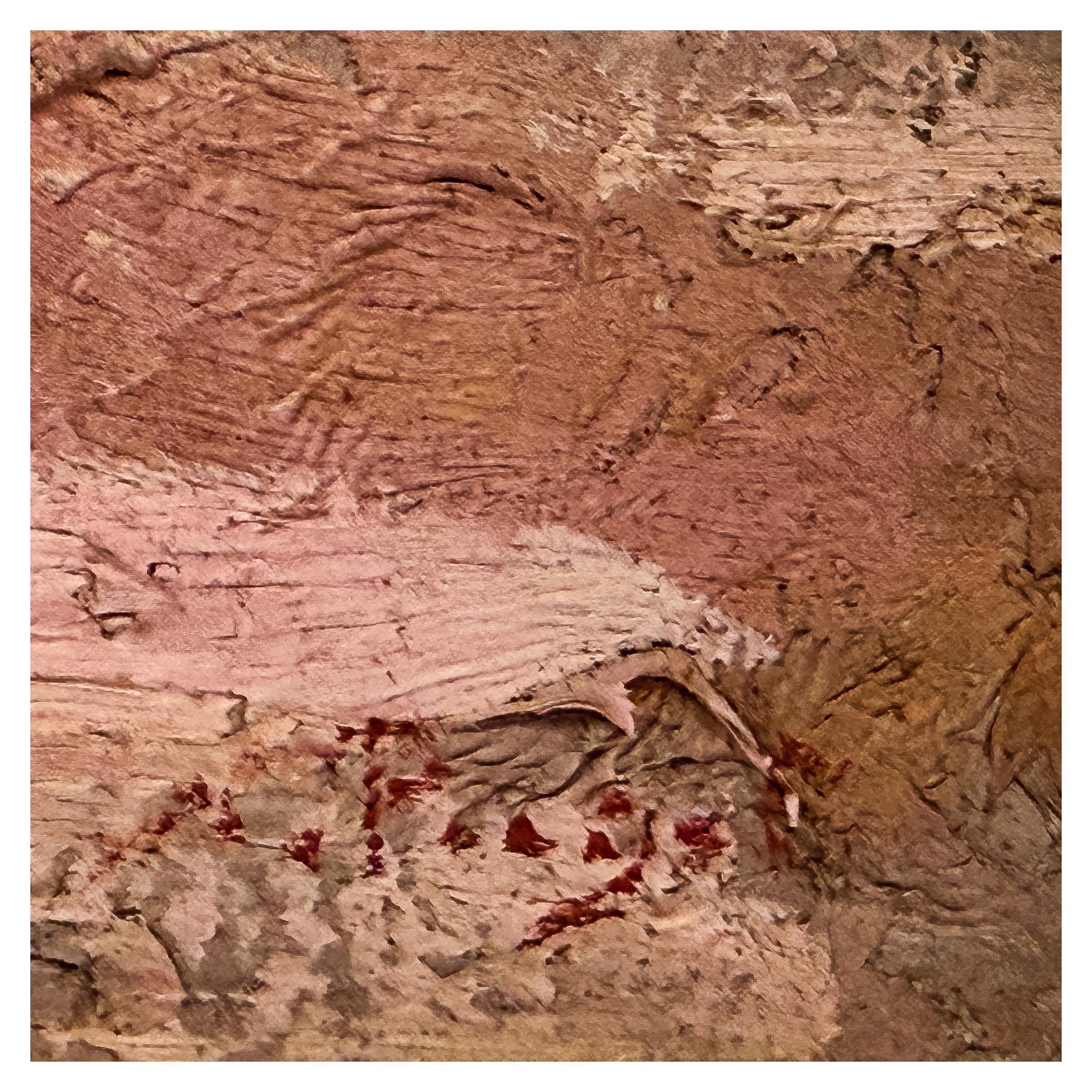 FIRMADO ILEGIBLE