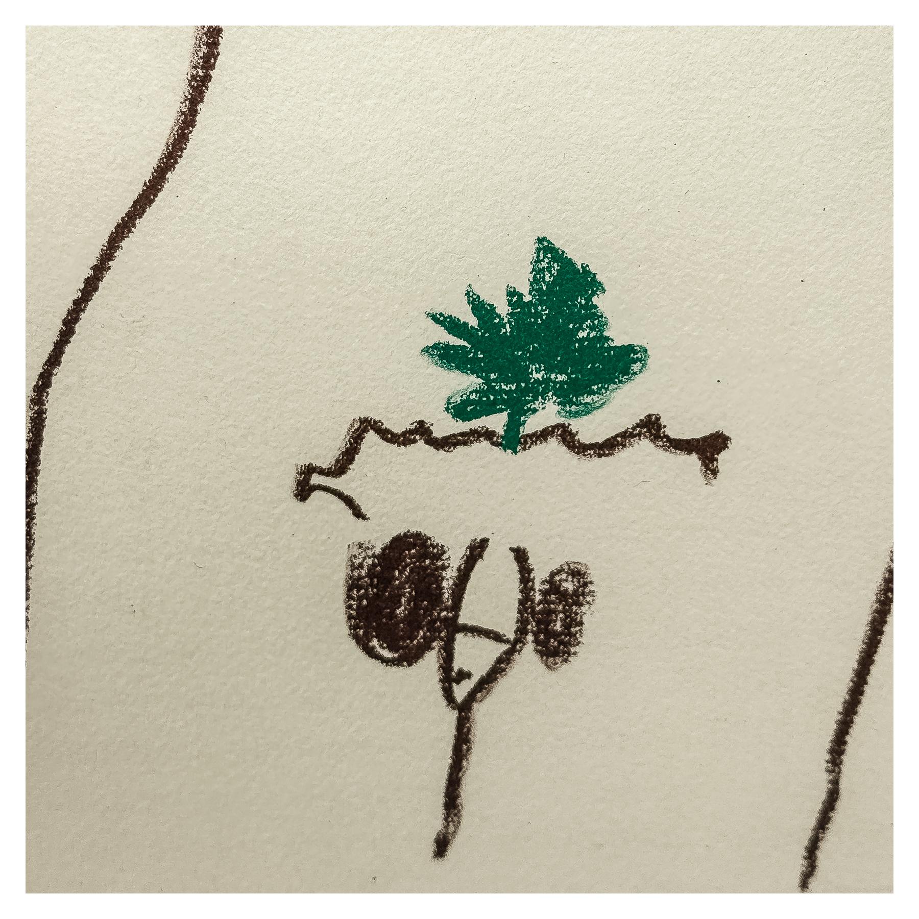 LITOGRAFÍA DE PICASSO