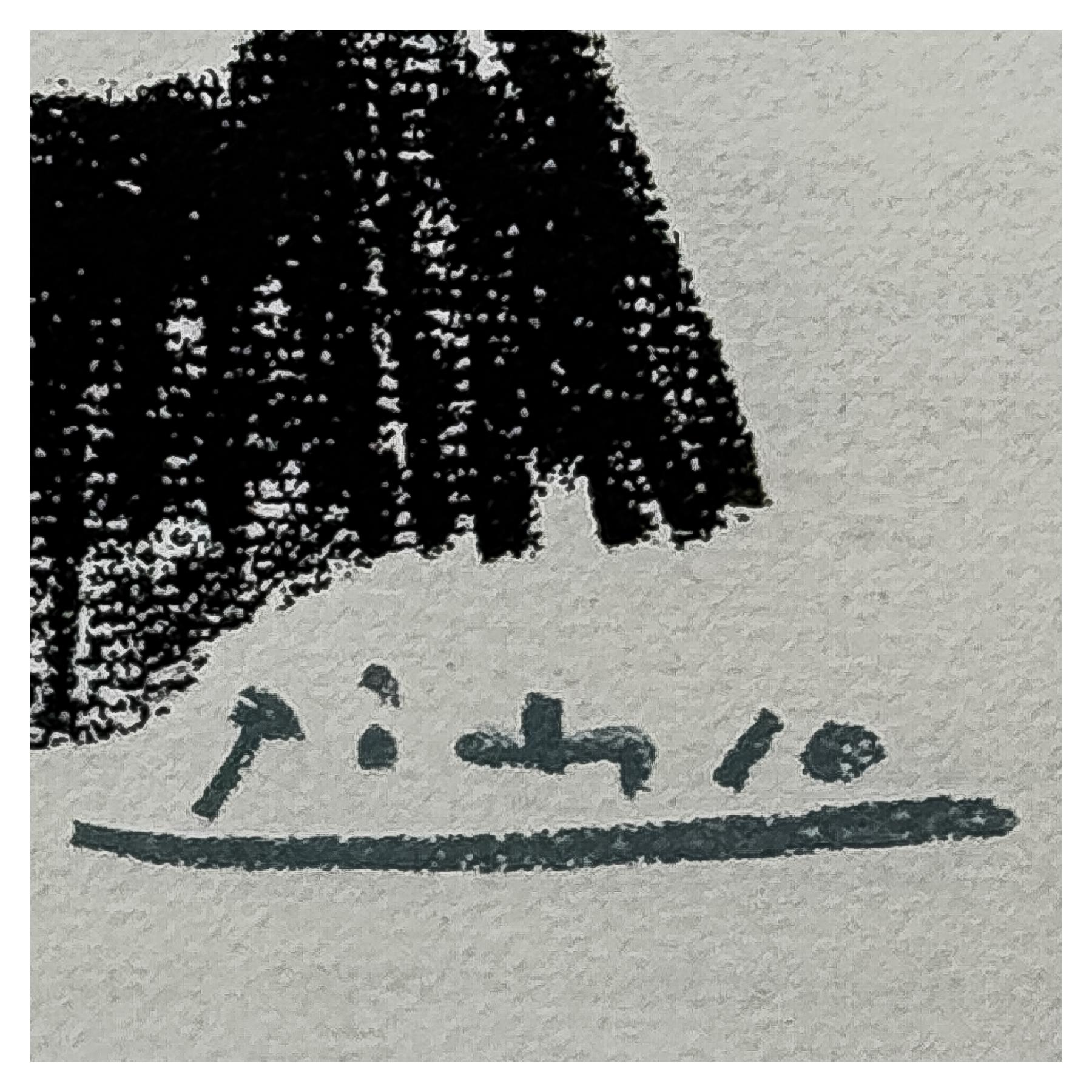 LITOGRAFIA DE PICASSO