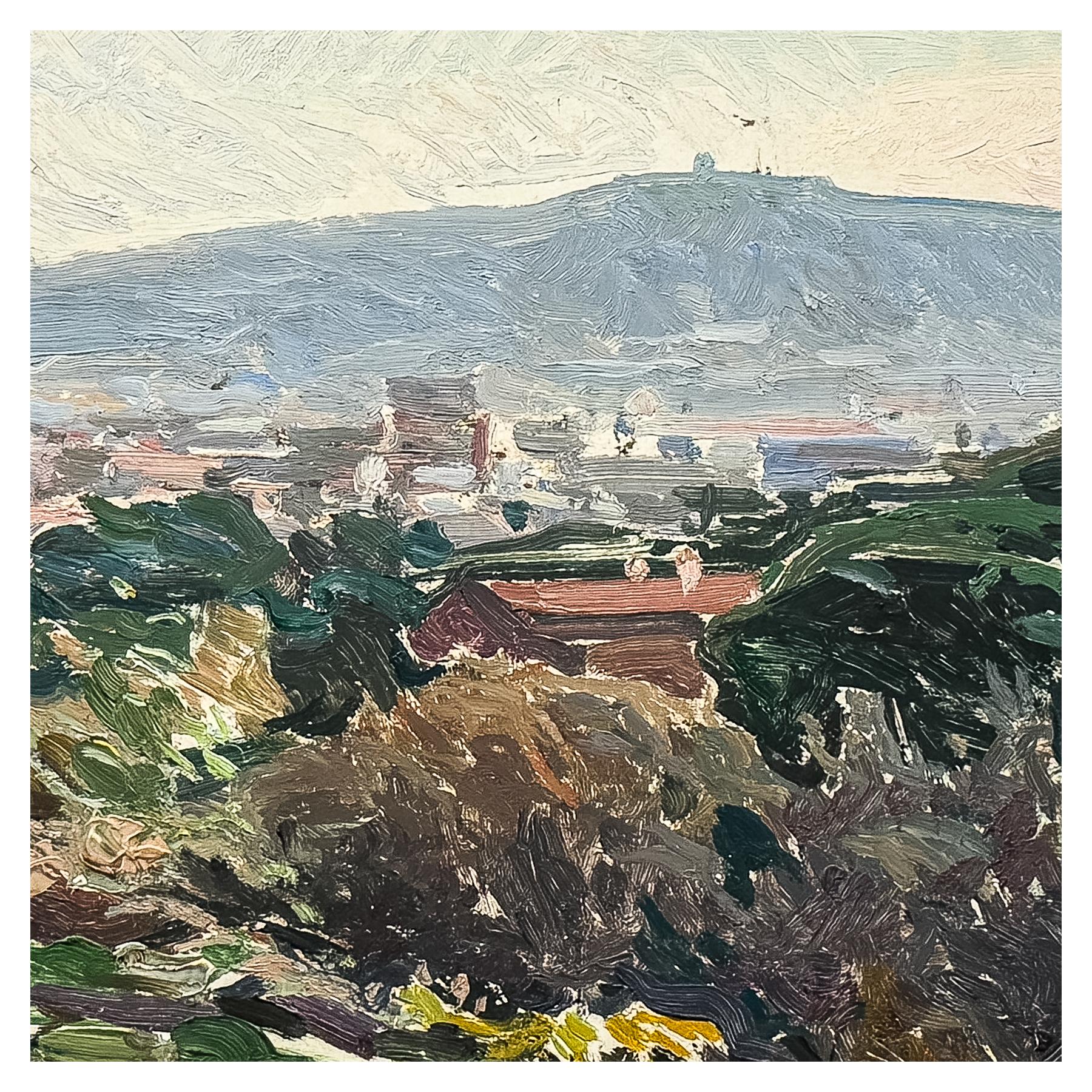 PUIGDENGOLAS I BARELLA, JOSEP