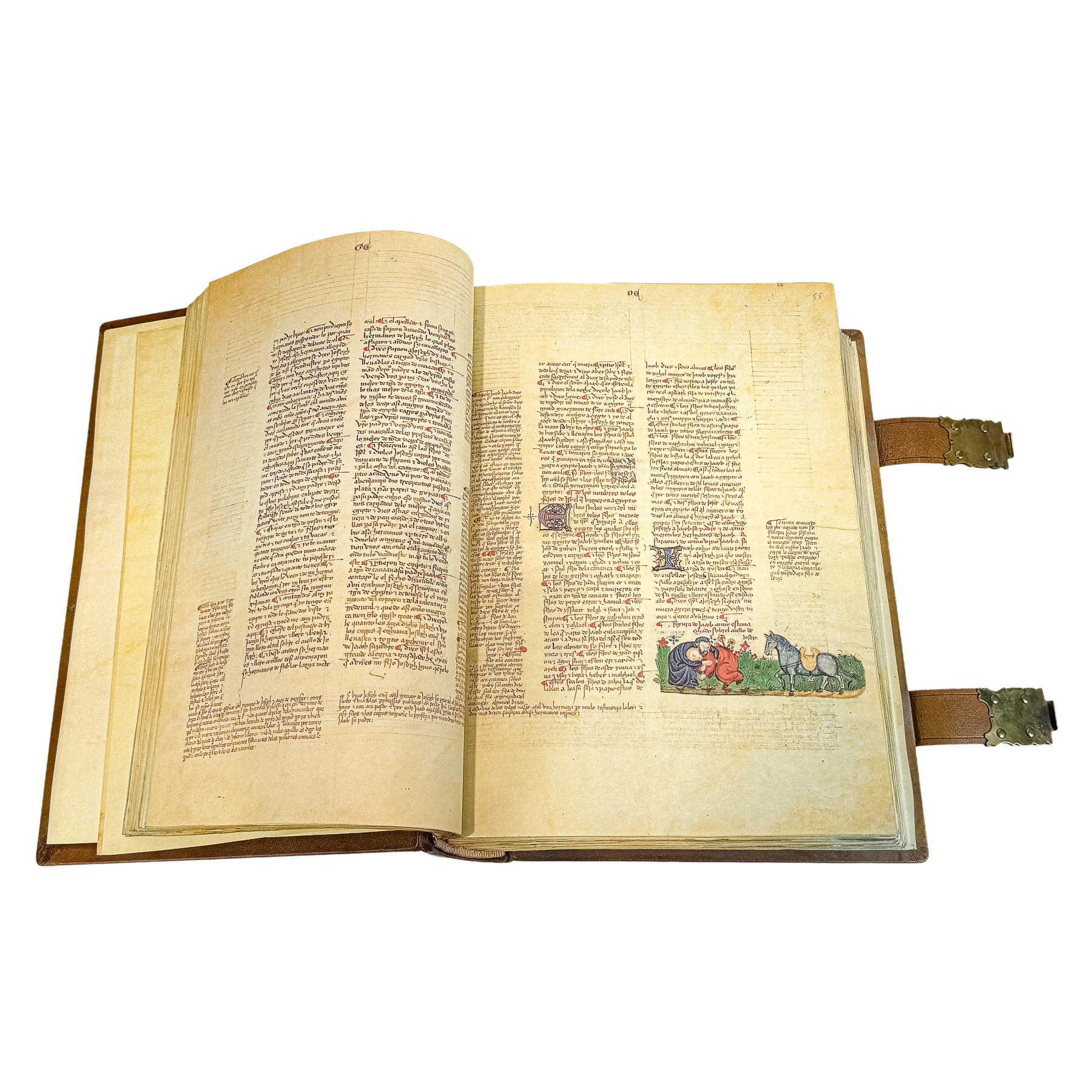 LA BIBLIA DE ALBA