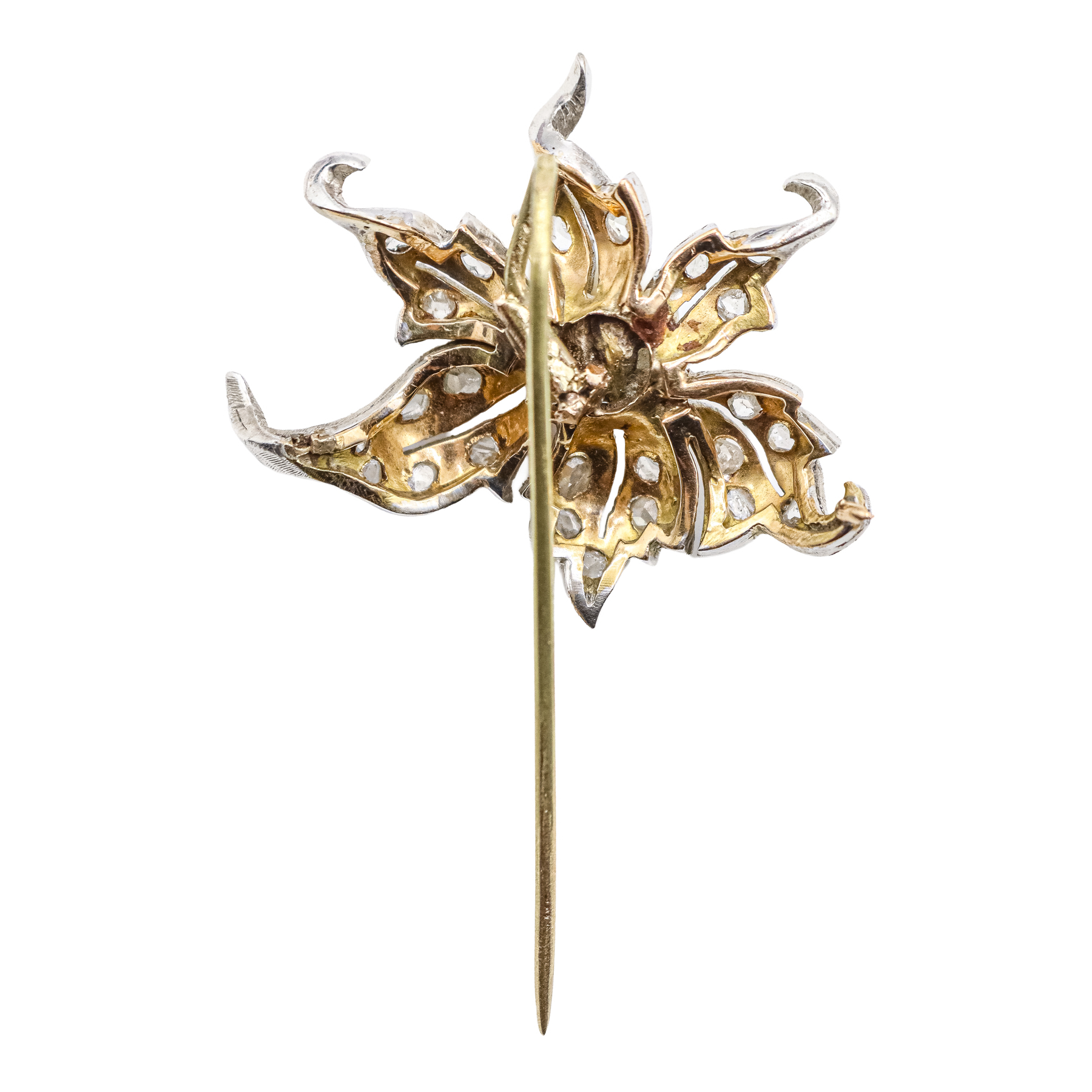 ALFILER ORQUIDEA DE LOS AÑOS 40
