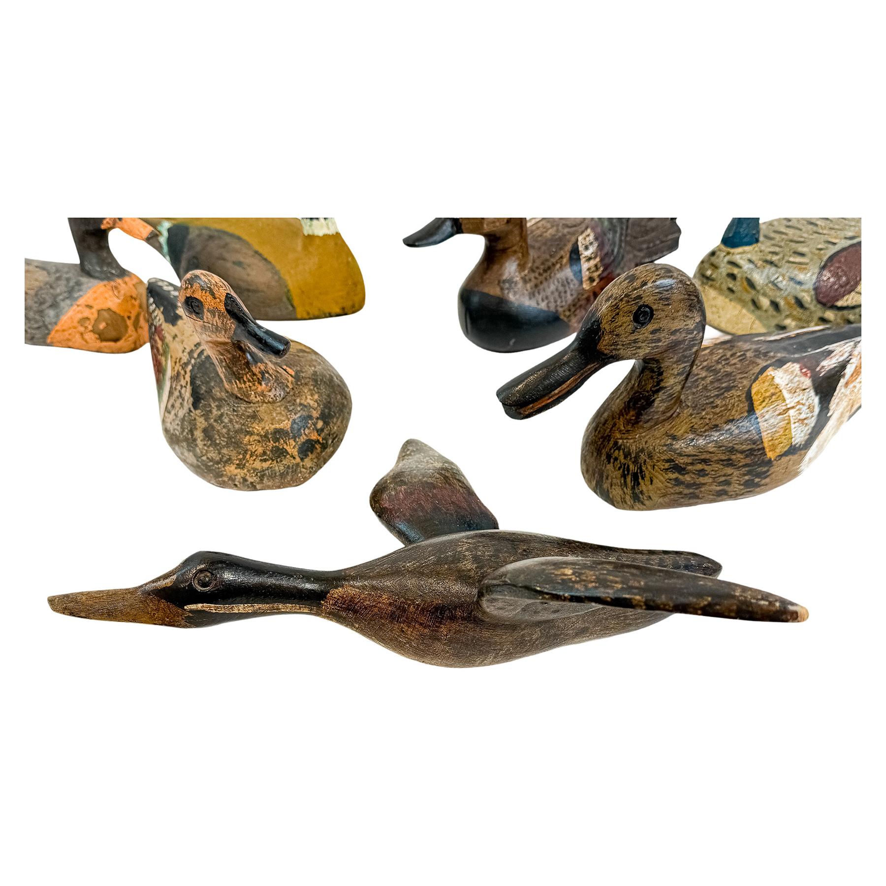 COLECCIÓN DE NUEVE PATOS DE RECLAMO