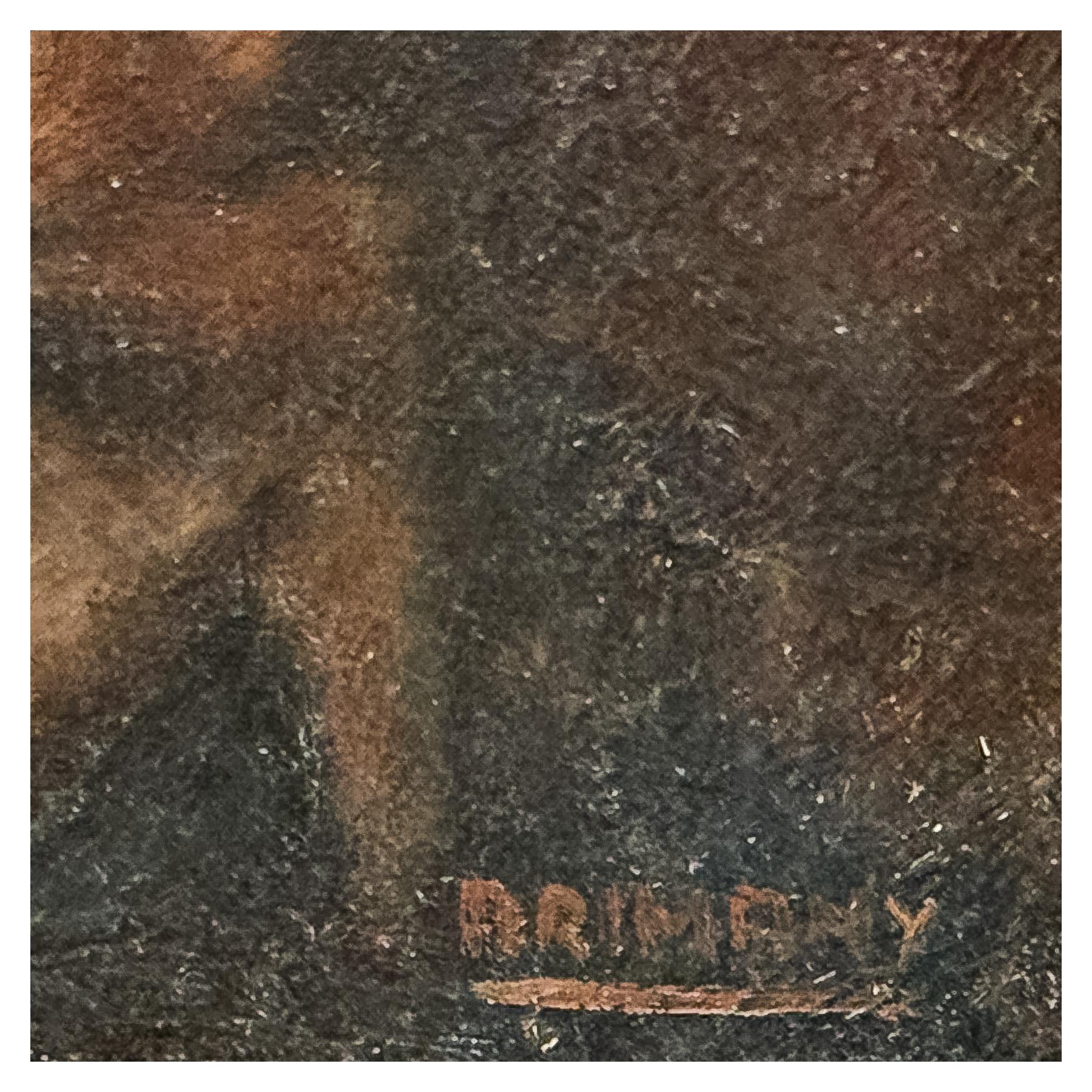 ARIMANY I NICOLAU, JOSEP LLUÍS 