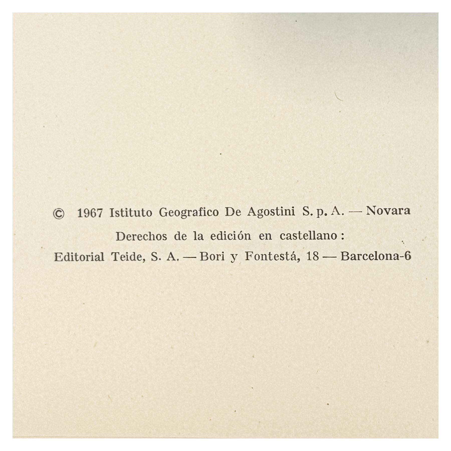 MIGUEL ÁNGEL Y LEONARDO DA VINCI