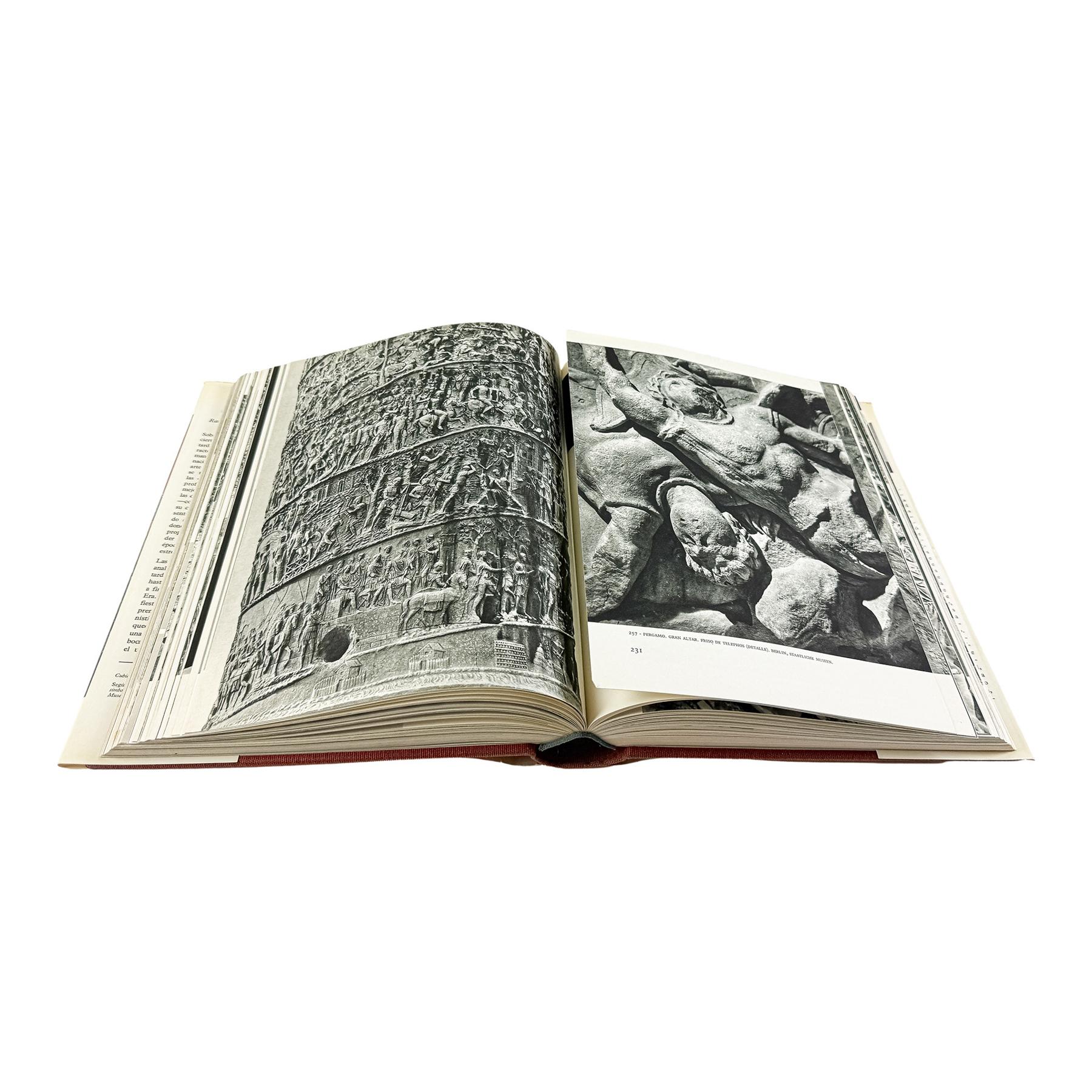 19 TOMOS DE LA COLECCIÓN EL UNIVERSO DE LAS FORMAS