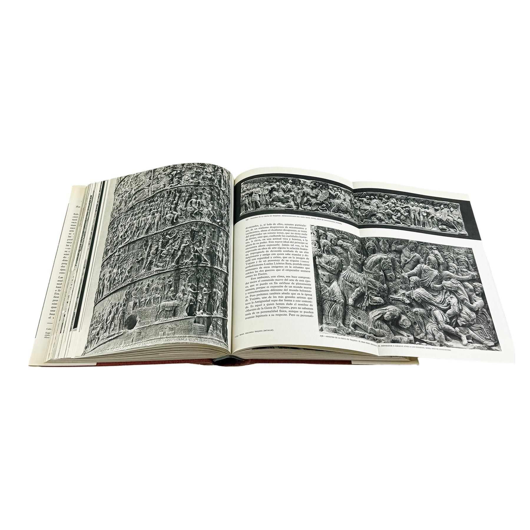 19 TOMOS DE LA COLECCIÓN EL UNIVERSO DE LAS FORMAS
