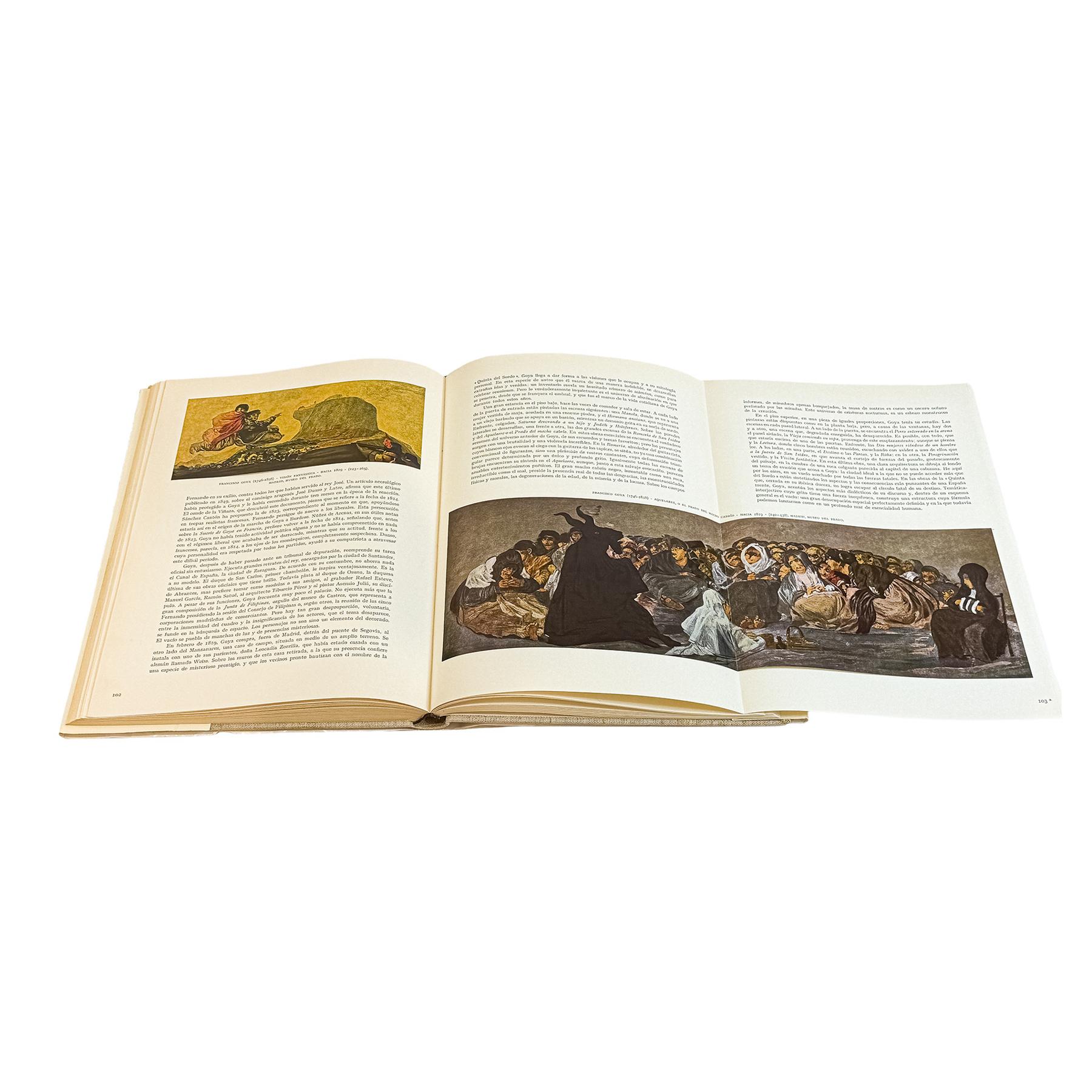 COLECCIÓN DE 4 MONOGRAFIAS Y COLECCION LA PINTURA ESPAÑOLA