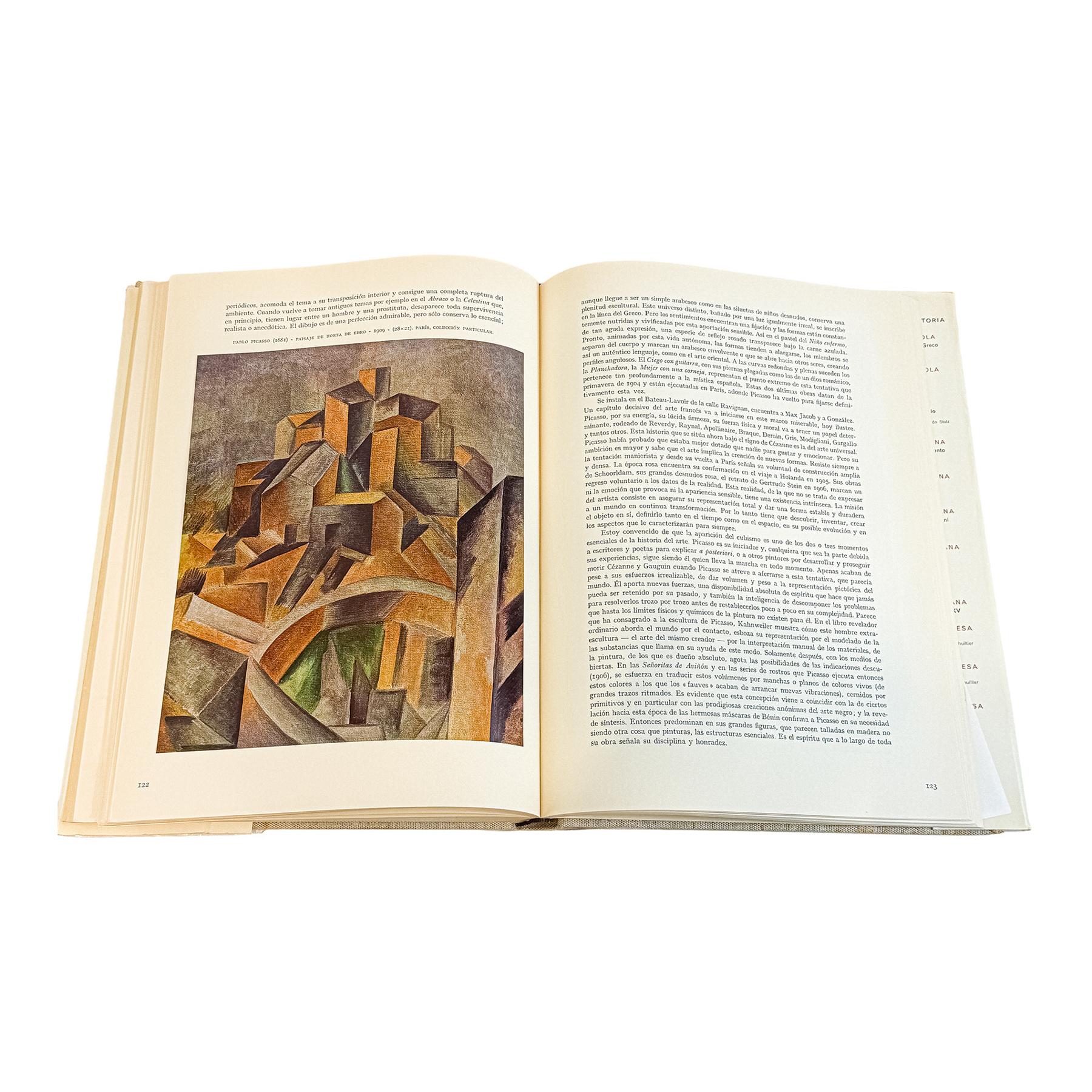 COLECCIÓN DE 4 MONOGRAFIAS Y COLECCION LA PINTURA ESPAÑOLA