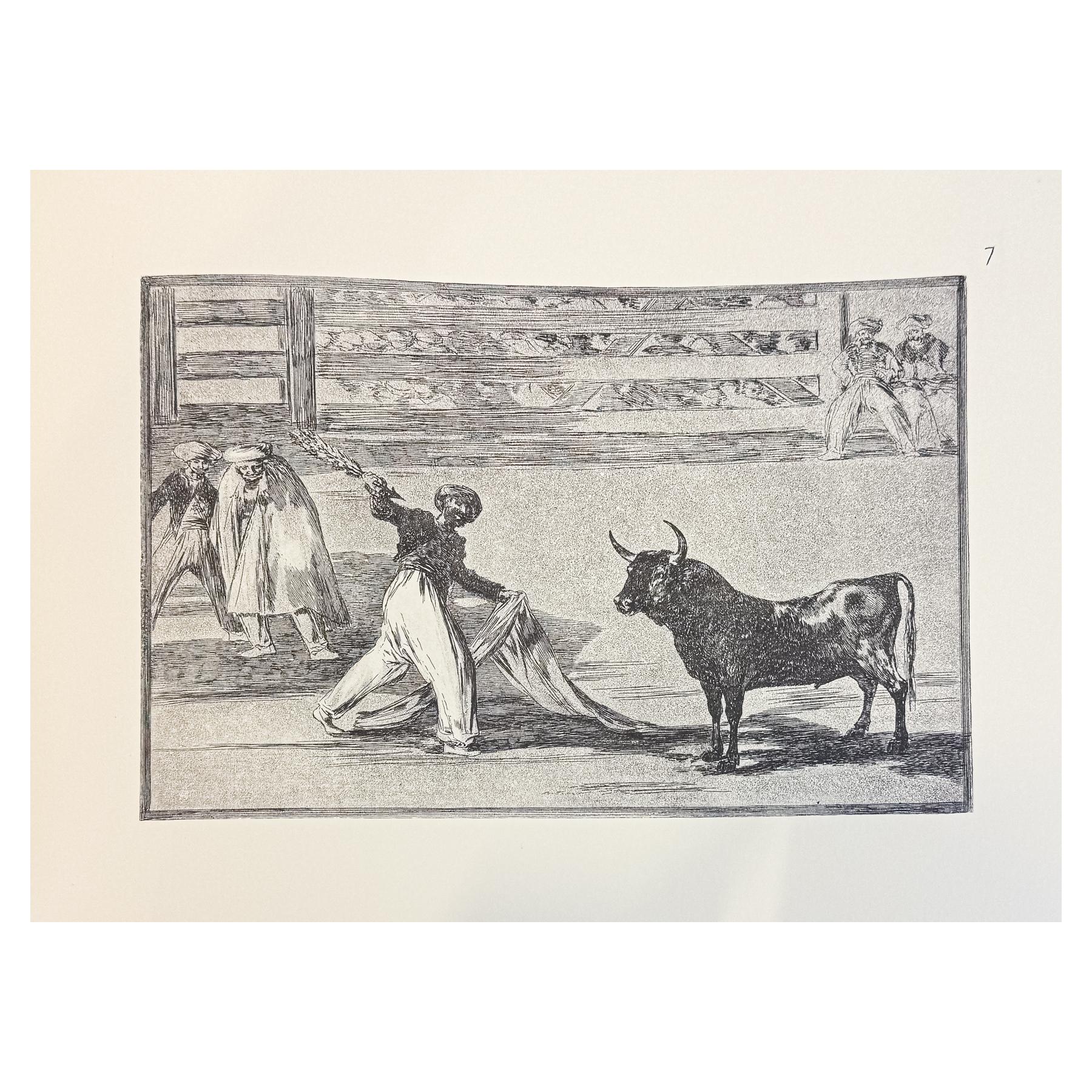 LA TAUROMAQUIA DE GOYA