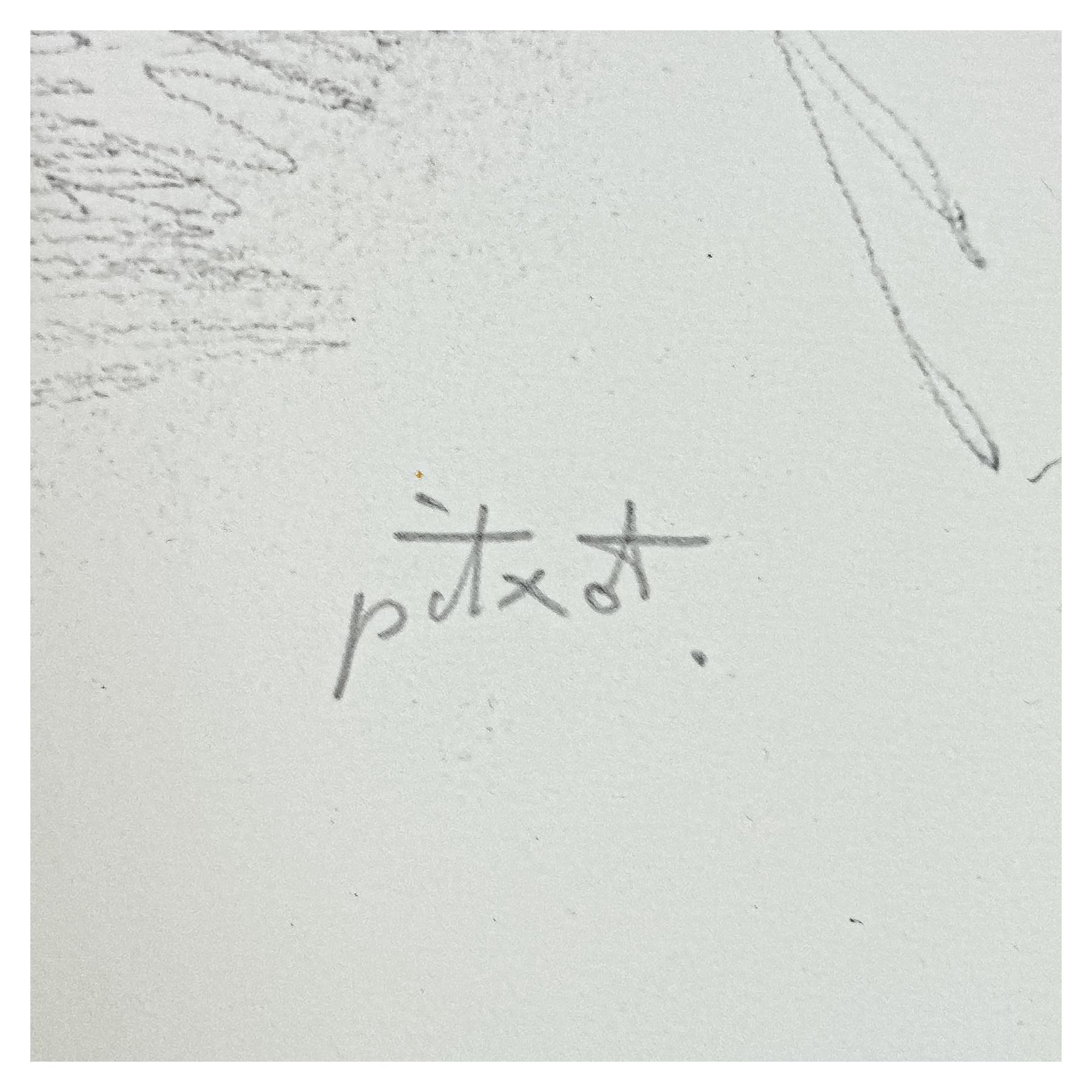 PICHOT I SOLER, ANTONI 