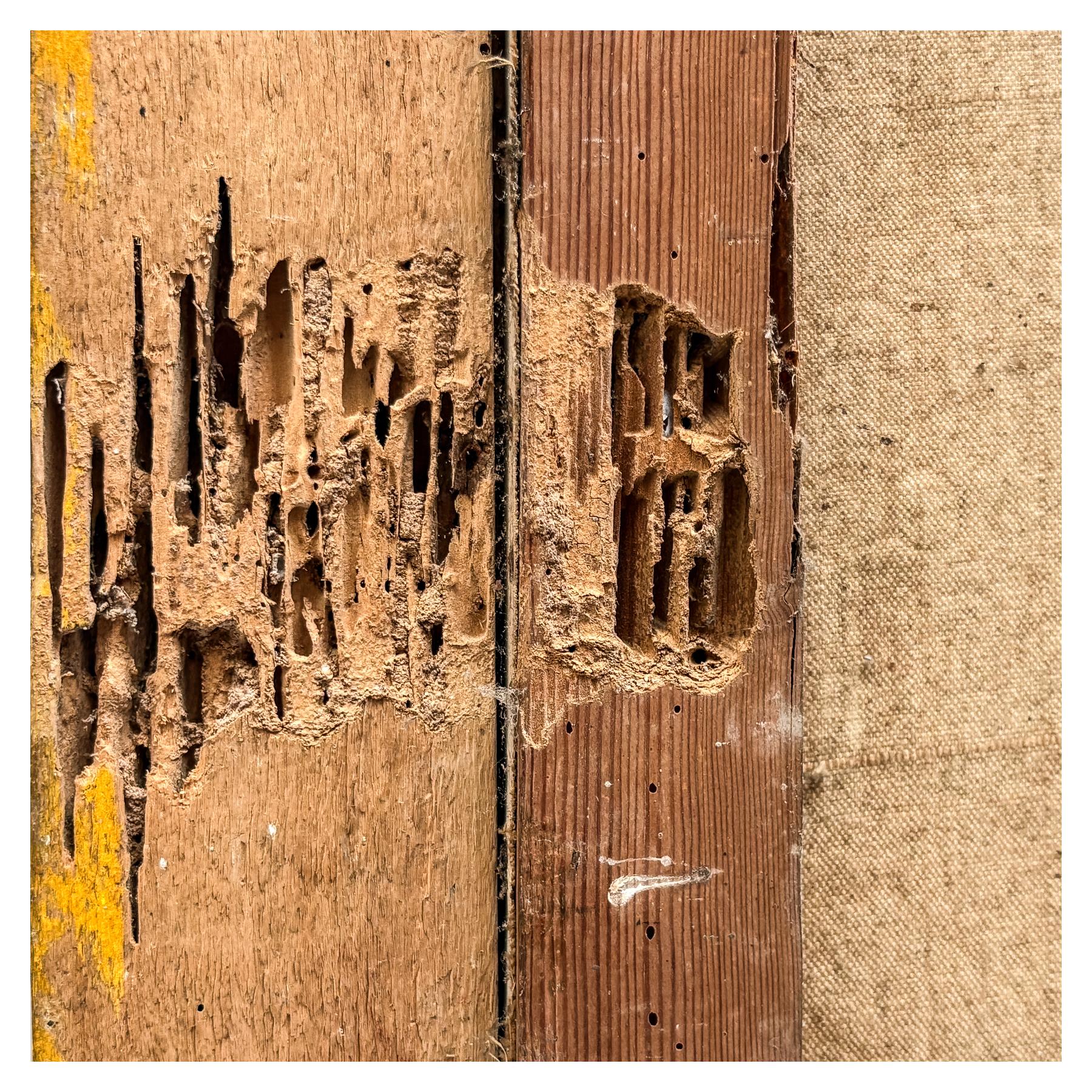 ANÓNIMO DE ESCUELA CATALANA CIRCA 1900