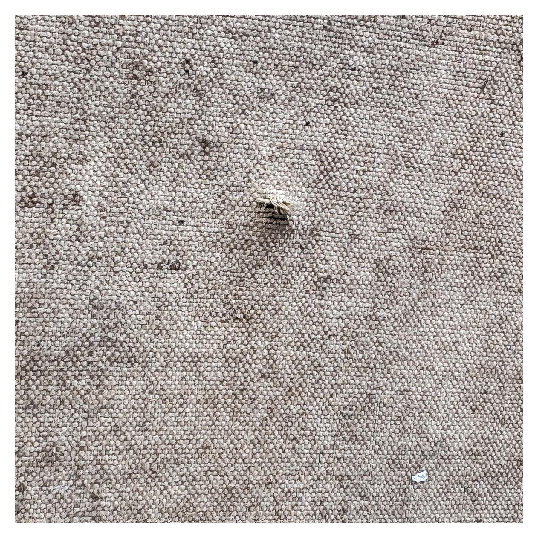 ANÓNIMO DE ESCUELA CATALANA CIRCA 1900