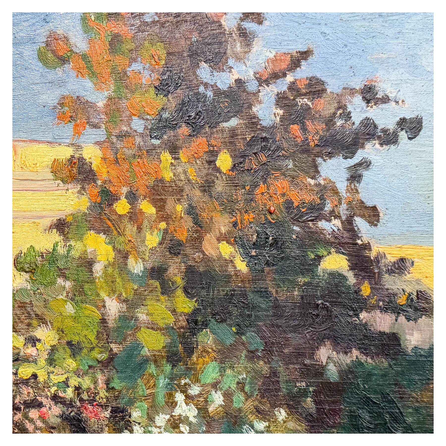 ANÓNIMO DE MEDIADOS DE SIGLO XX