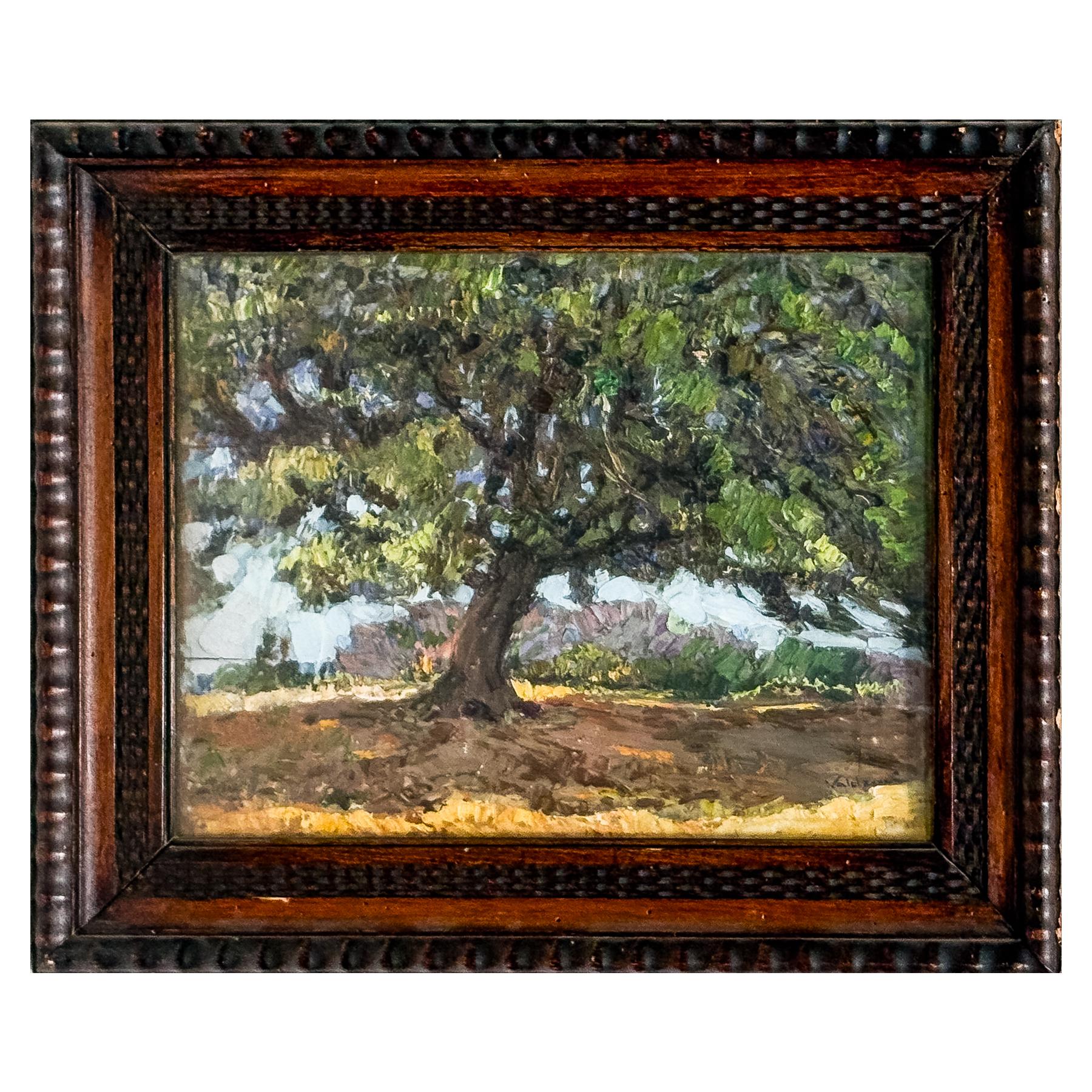 VALDEMI DE MARE, ALVE