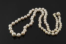 COLLAR De una vuelta de perlas cultivadas calibradas entre 6 y 10.5 mm. dispuestas en degradé. Cierre realizado en oro blanco de 18 kt. con perla cultivada central orlada por diamantes talla 8/8, peso total aproximado: 0.36 ct. Se acompaña de cadenita de