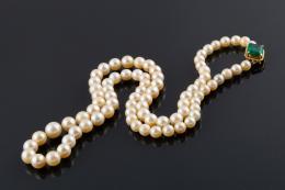 COLLAR De una vuelta formado por perlas cultivadas dipuestas en disminución del centro a los lados calibradas entre 7 y 10 mm. Cierre realizado en oro con esmeralda central sintética.