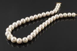 COLLAR Formado por 35 perlas cultivadas calibradas entre 14,5 y 12mm de diámetro. Cierre de oro amarillo de 18k.