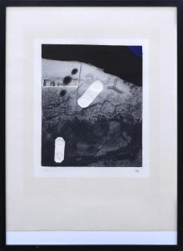 SIGNES, 1976